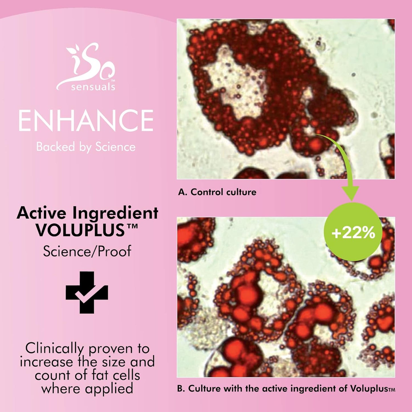 IsoSensuals ENHANCE - Breast Enlargement Cream for Quick Growth | Lifting & Firming - 2 Month Supply