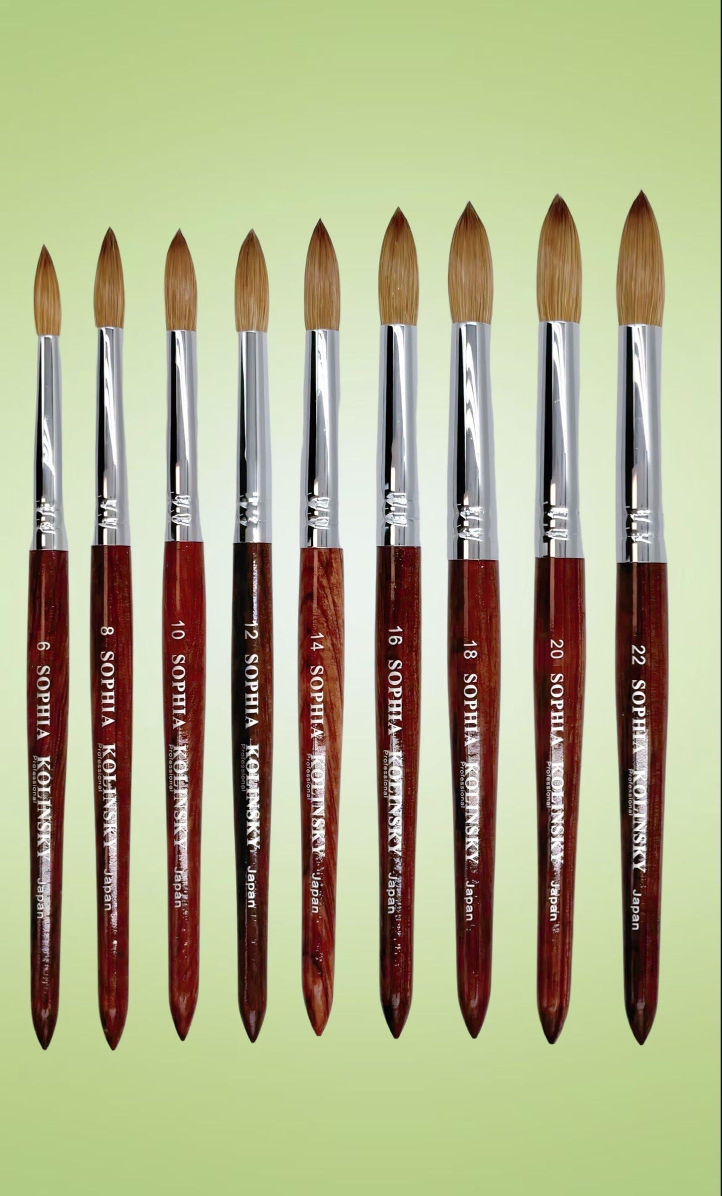 Sophia kolinsky Acrylic Nail Brush Pure Kolinsky Hair Round Shape Redwood handle Size #6 to #22 Pick Your Size (SIZE #8)