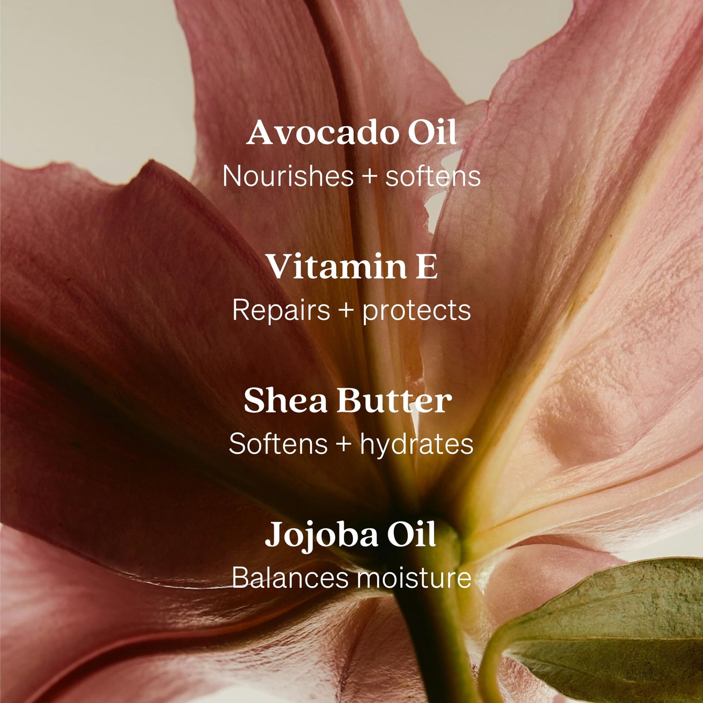 Loved01 Hand Wash, John Legend Skincare, Liquid Hand Soap, Gentle & Hydrating, Cruelty-Free, Oprah's Favorite Things, with Nourishing Oils, Just Because Soft Floral Scent, 2-Pack (15 oz each)