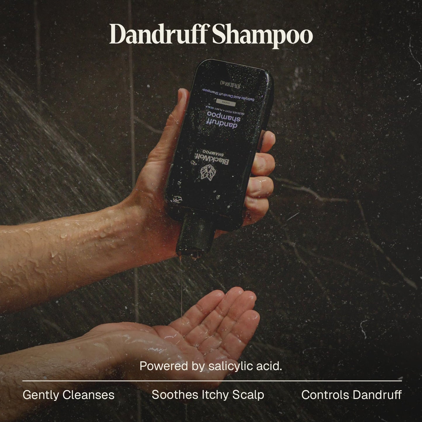 Black Wolf Everyday Men’s Shampoo - Charcoal Powder Cleanses Scalp and Fights Dirty & Greasy Hair - Thick & Rich Lather Daily Shampoo - For All Hair Types