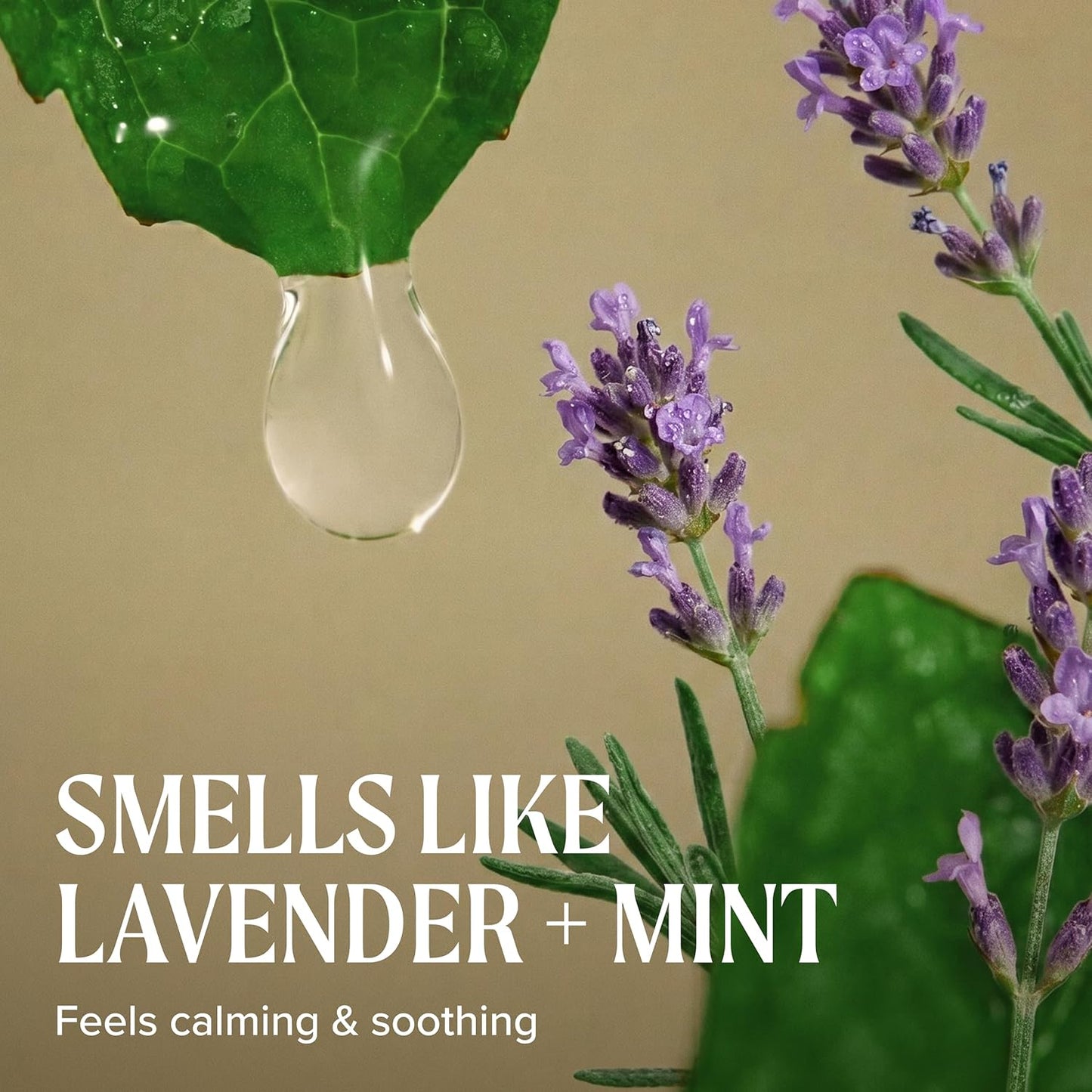 Tea Tree Lavender Mint Taming Cream - Rich Hair Styling Cream for Coarse, Curly & Dry Hair | 3.4 fl. oz.