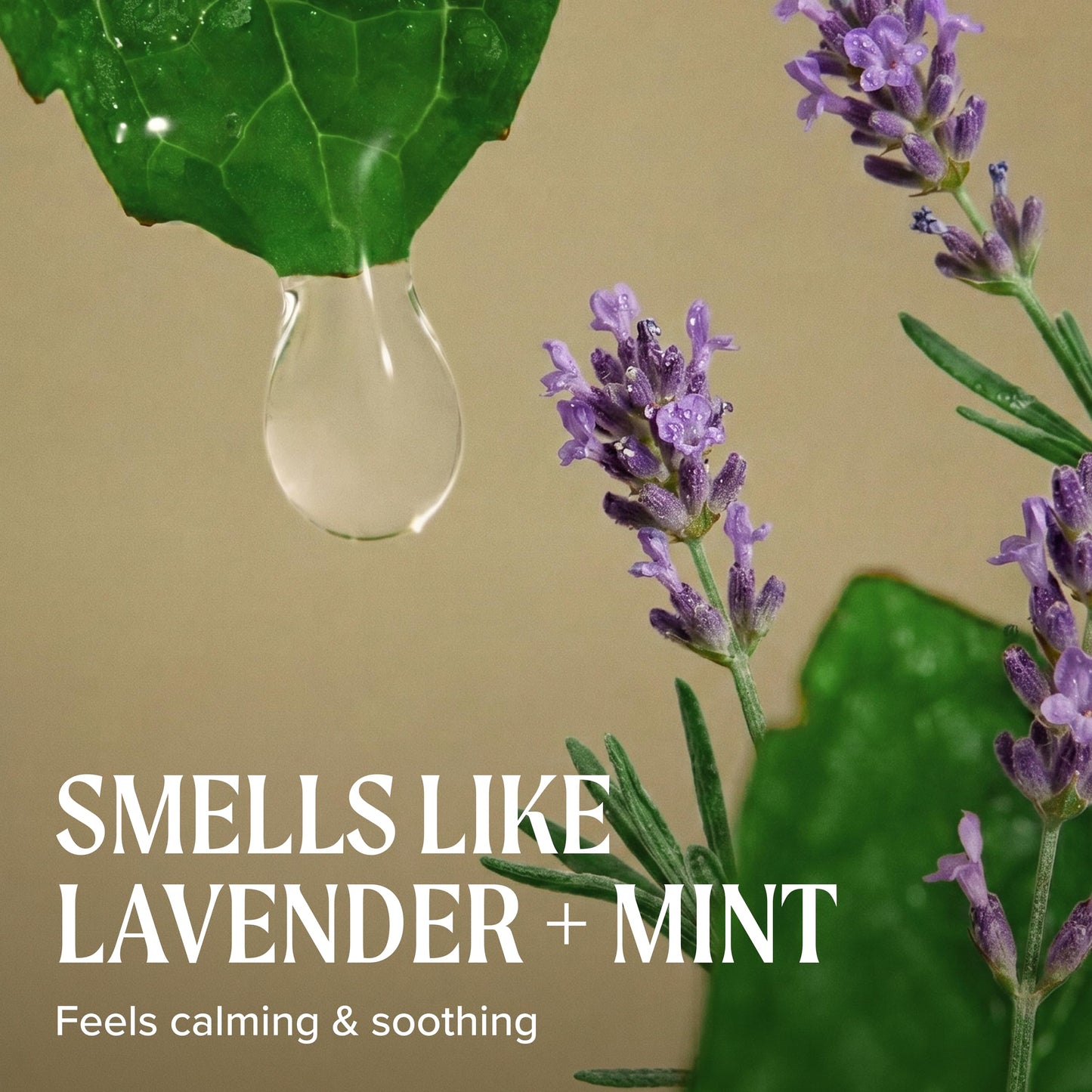 Tea Tree Lavender Mint Taming Cream, Rich Hair Styling Cream, For Coarse, Curly + Dry Hair, 3.4 fl. oz.
