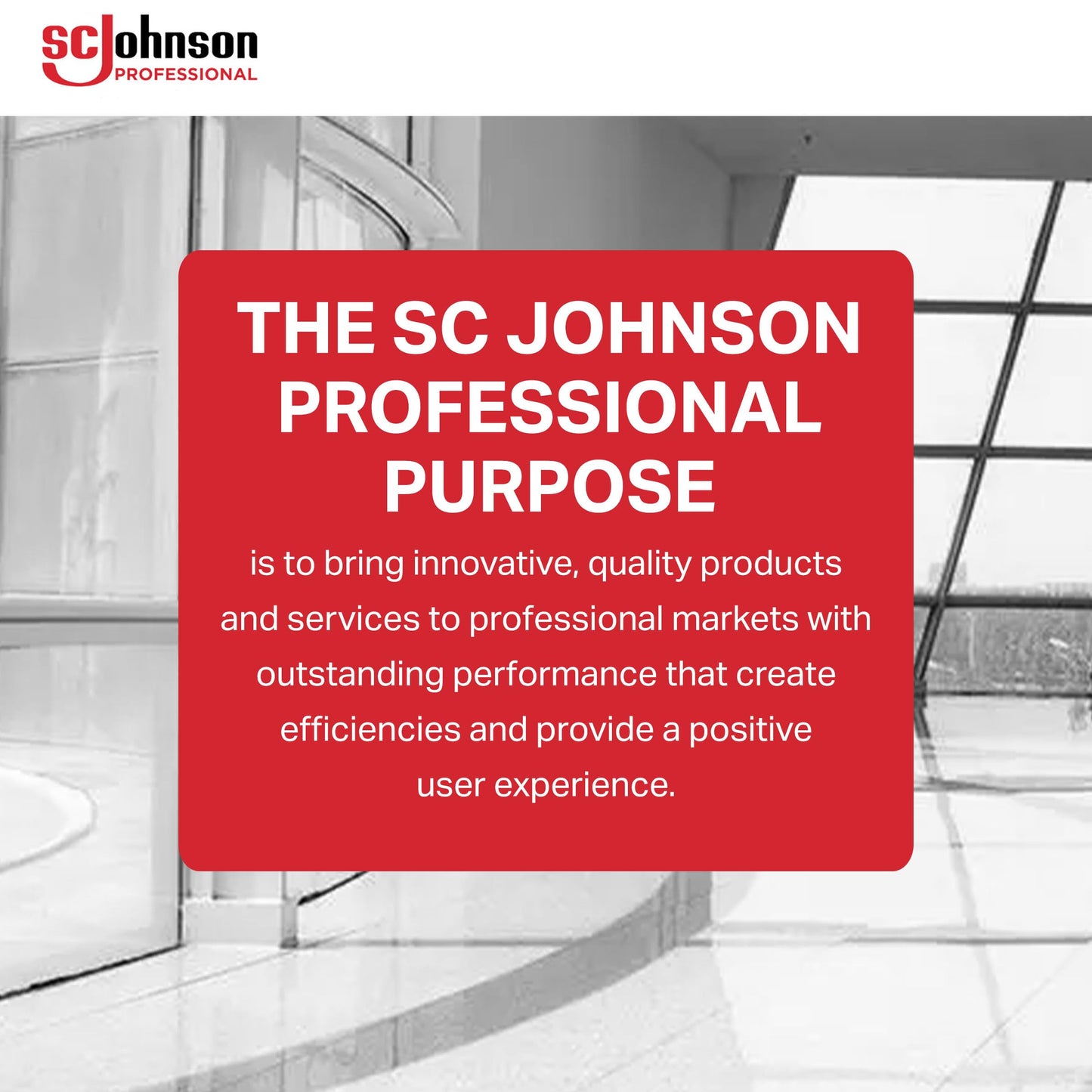 SC Johnson Professional STOKOLAN Light Pure Post Work Hand Cream 100ml, 3.3814 Fl Oz (Pack Of 12)