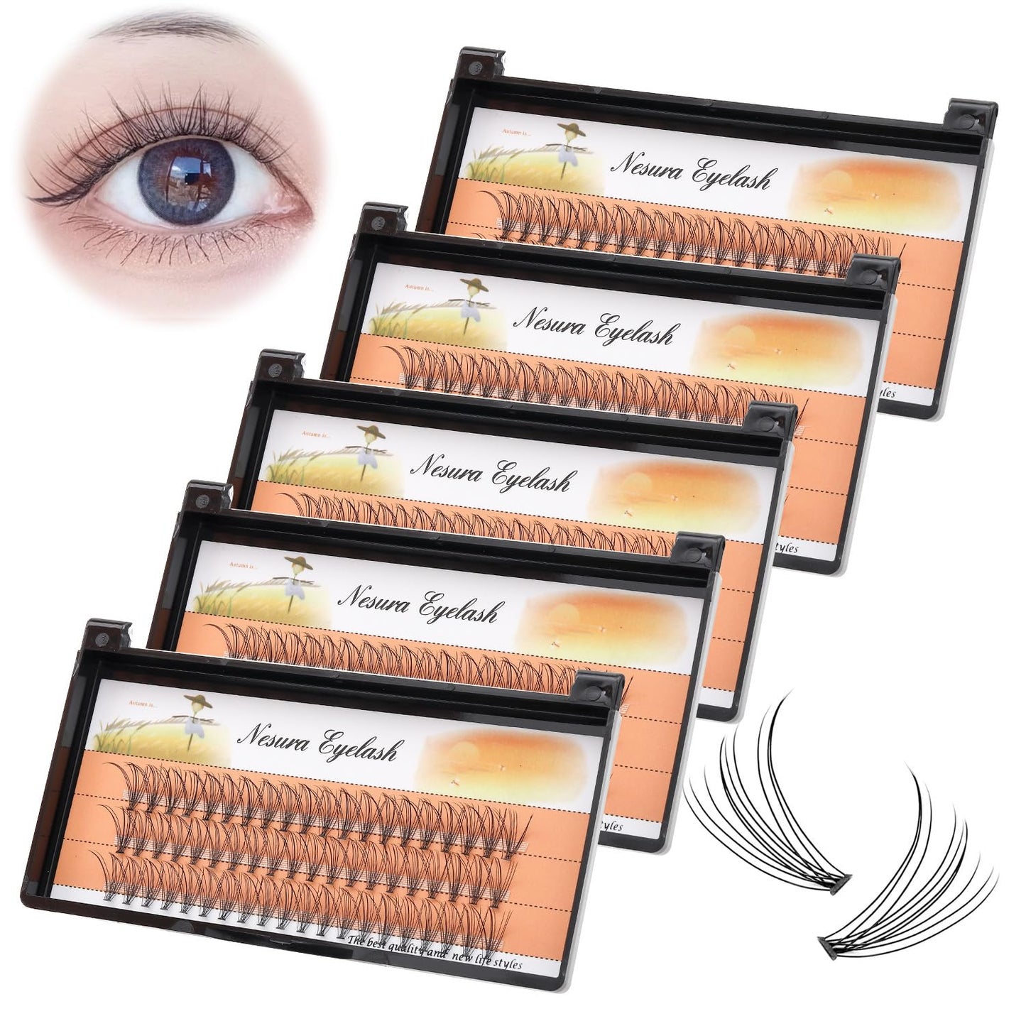 BODERMINCER 10 Root 60pcs 8-10-12-14-16mm Mixed Black Handmade False Eyelashes Natural Long Individual Eyelashes Extension Fake Lashes Makeup Beauty Cosmetic (5 PACKS-11MM)