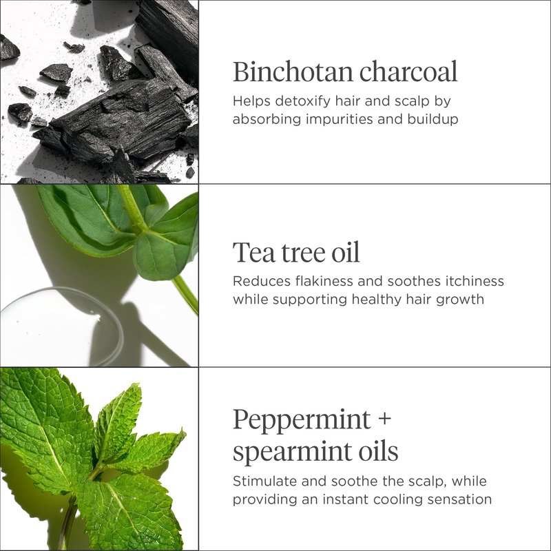 Briogeo Scalp Revival Charcoal + Tea Tree Scalp Treatment | Leave-In Serum for Dry, Flaky, or Itchy Scalp | Hydrating & Balancing | Vegan & Cruelty Free | 1 oz