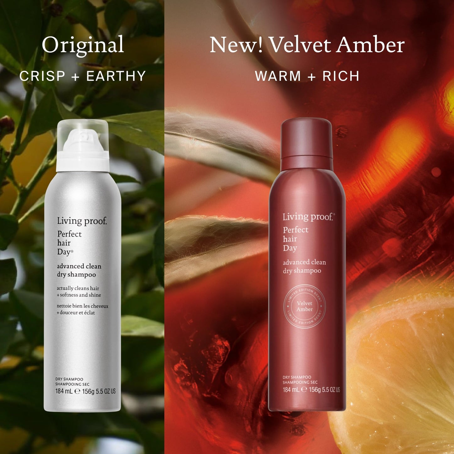 Living Proof Perfect hair Day Advanced Clean Dry Shampoo, 5.5 oz - Limited Edition Velvet Amber Scent