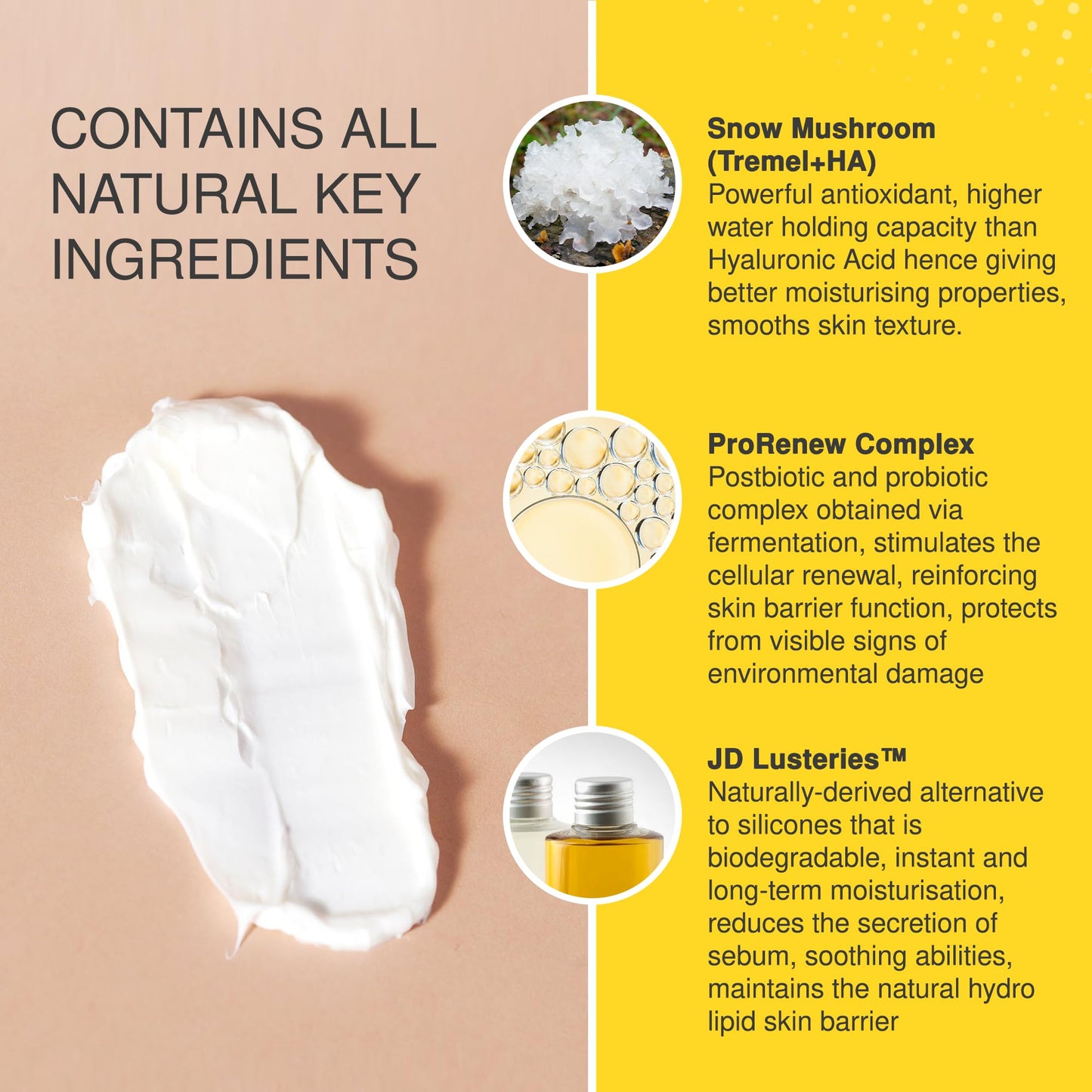The Jojoba Company Overnight Multi-Biotic Moisture Cream with Snow Mushroom & ProRenew Complex - Hydrating Night Cream for Dry, Sensitive Skin - Nourishing, Lightweight
