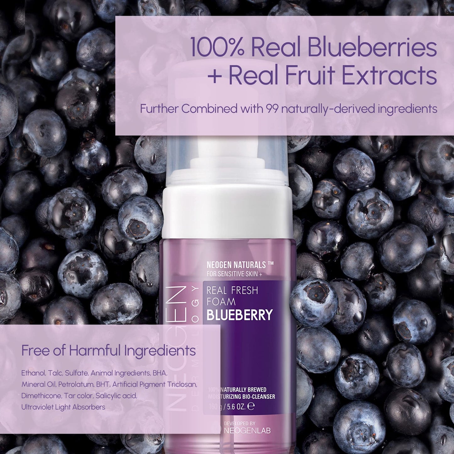 DERMALOGY by NEOGENLAB Real Fresh Foam Cleanser, Blueberry, 5.6 Fl Oz