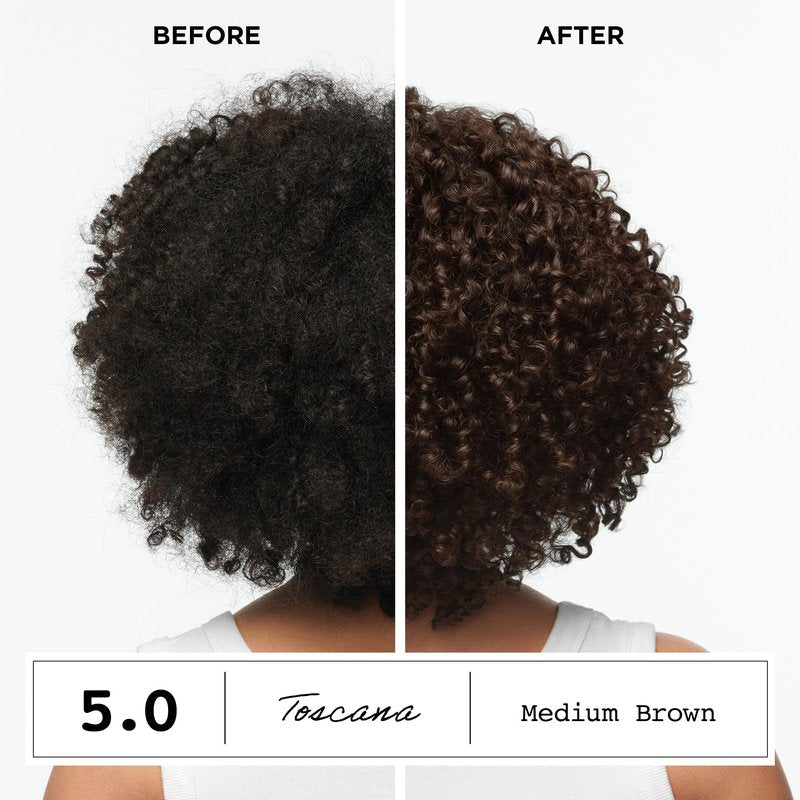 Clairol ColorStrong Permanent Hair Dye, Ammonia‑Free, PPD‑Free, 100% Gray Coverage with Bonding System, 5.65 Sunset Mahogany - Miami Nights Hair Color, Pack of 1