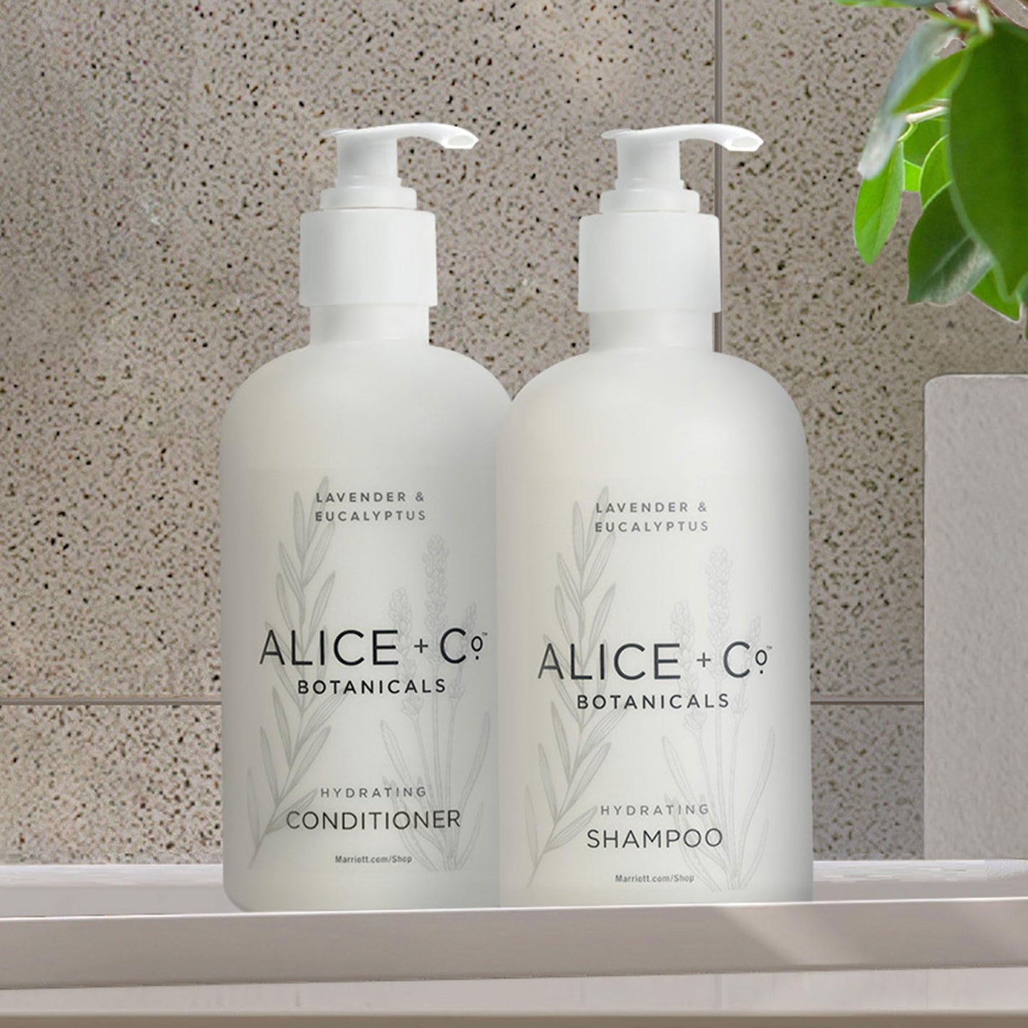 Alice + Co. Shampoo & Conditioner | Lavender & Eucalyptus | Fairfield by Marriott | Hotel Bath Amenities | 8.5 oz Bottles | Hair Care Set