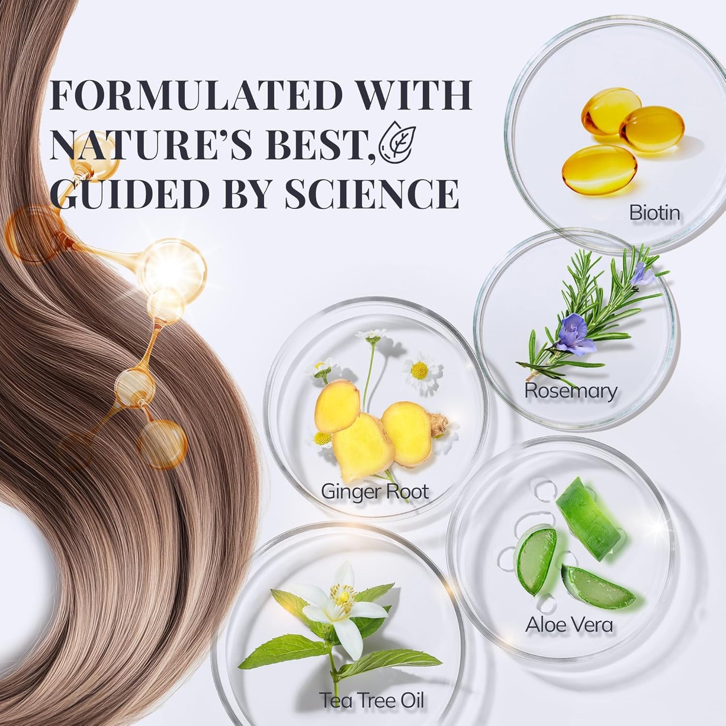 Biotin & Rosemary Shampoo for Hair Growth - Natural Thinning Hair Treatment | Sulfate-Free 10 fl oz