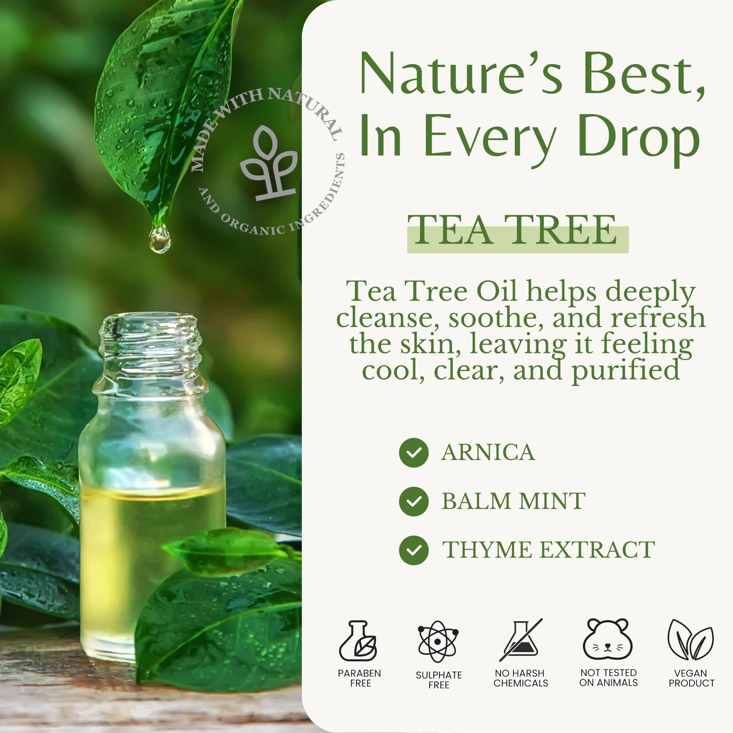 EDENIKA BOTANICALS Tea Tree Body Wash 16 fl oz (2 Pack) Natural Antifungal Support Wash for Athlete’s Foot, Ringworm & Jock Itch, Refreshes & Soothes, Organic Tea Tree Oil, Men & Women
