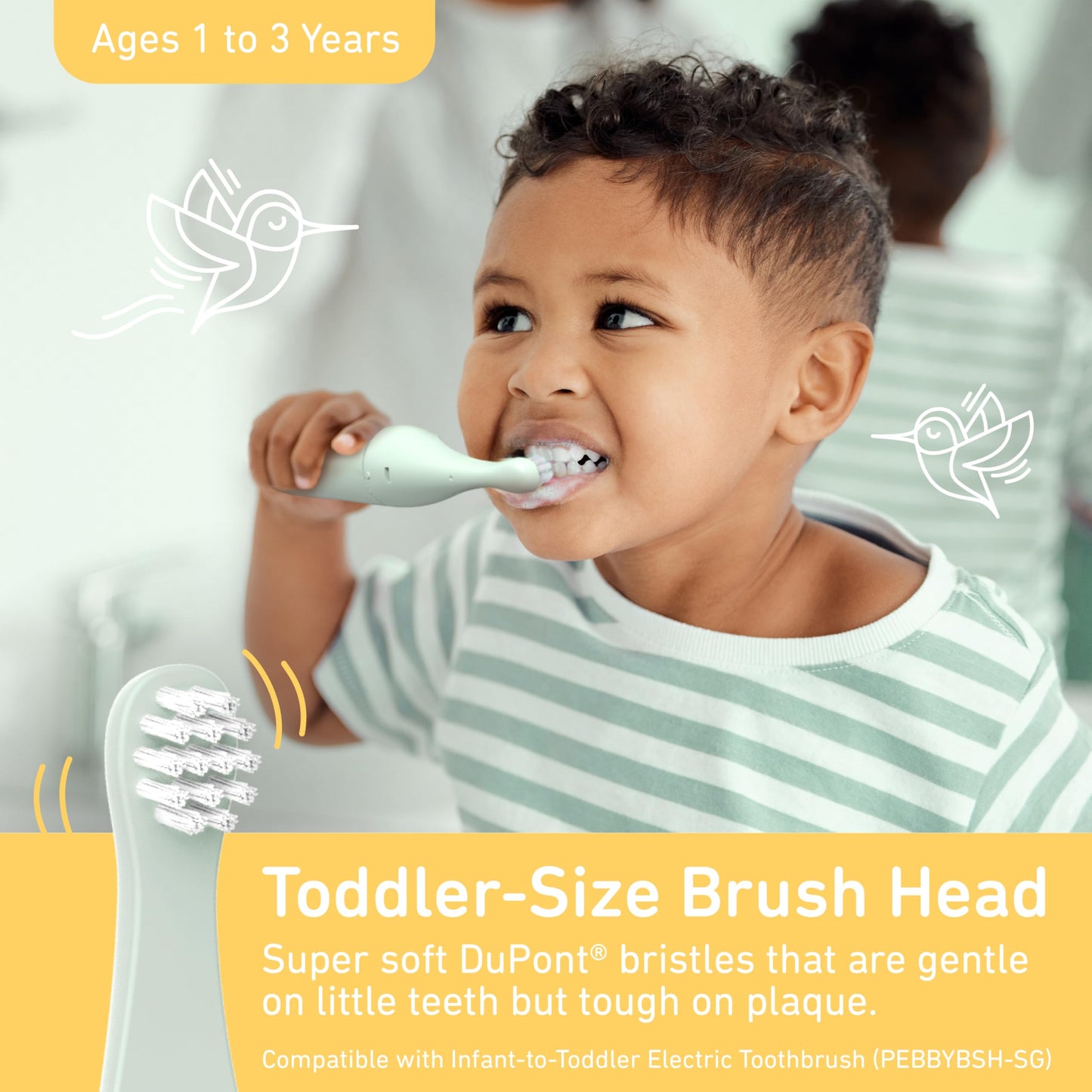 Pure Enrichment PureBaby 2-Pack Replacement Bristle Brush Heads for the Infant-to-Toddler Electric Toothbrush (PEBBYBSH-SG) - Ages 1-3 Years