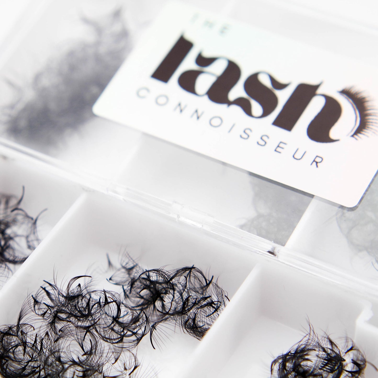6D - D Curl 750 Fans Mixed Promade Fans Lash Extensions | TLC Lash Supplies 4D to 16D Premade Fans 7 mm to 16 mm Mixed Length Thin Base Premade Fans Eyelash Extensions (6D - D Curl, 7-8-9 mm)