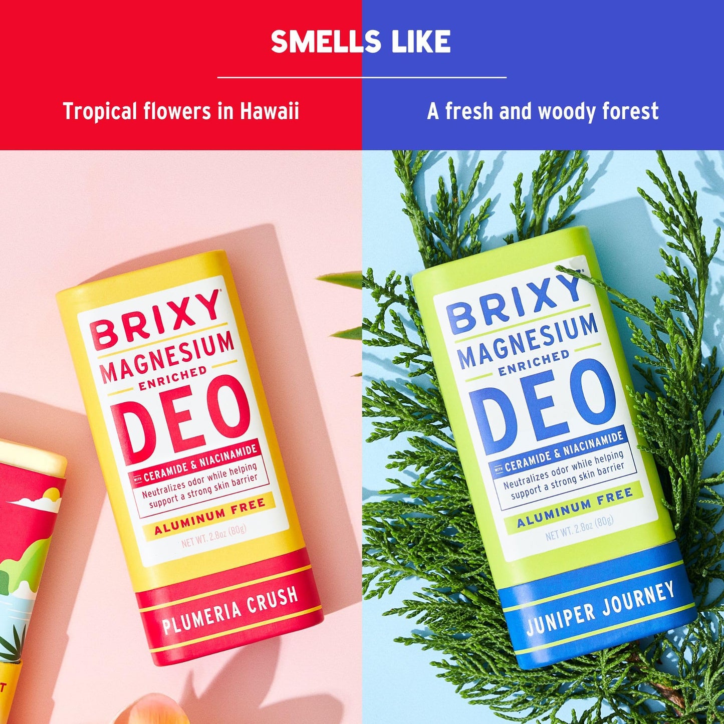 BRIXY Magnesium Deodorant, Ceramide & Niacinamide, Aluminum Free, Baking Soda Free, Plastic Free Packaging, Vegan and Certified Cruelty Free, Patent Pending