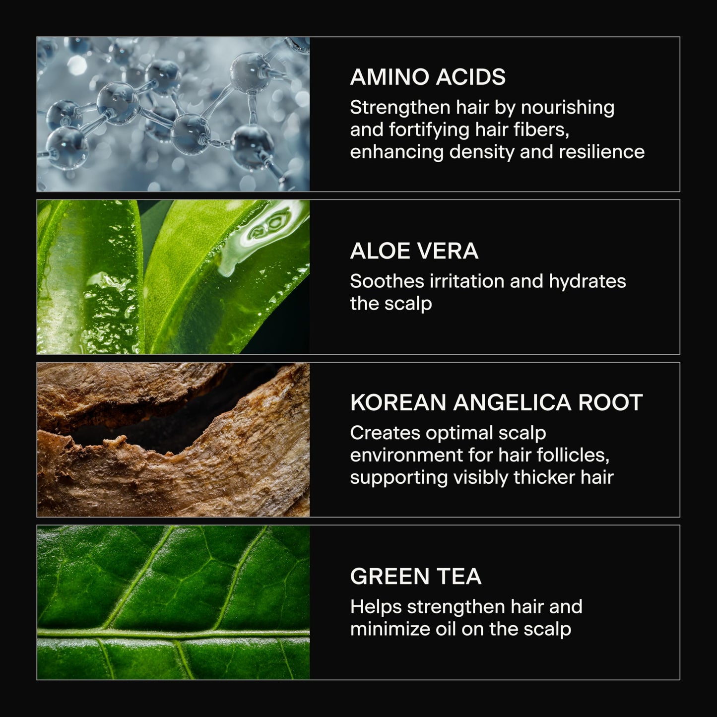 Caldera + Lab The Shampoo | Men’s Shampoo for Healthy Hair, Sulfate-Free Daily Cleanser, Dermatologically Tested - All Hair Types