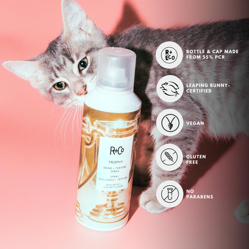 R+Co Trophy Shine + Texture Spray 198 ml / 6 oz