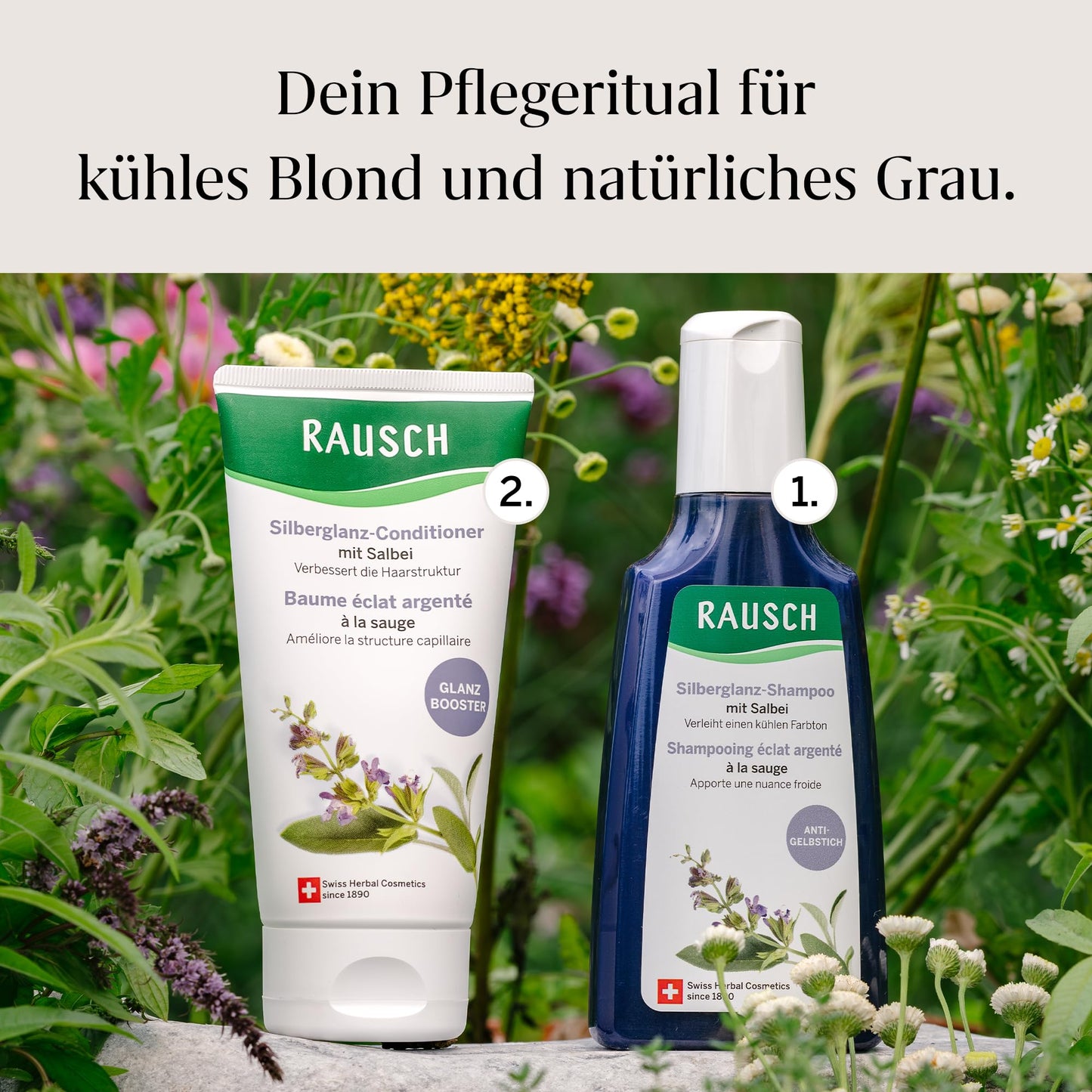 Rausch Sage Shampoo, 200 ml - Light Silver Shine - Purple Shampoo for Dry Hair Structure, Hair Treatments, Soothes & Regulates Scalp, Germany