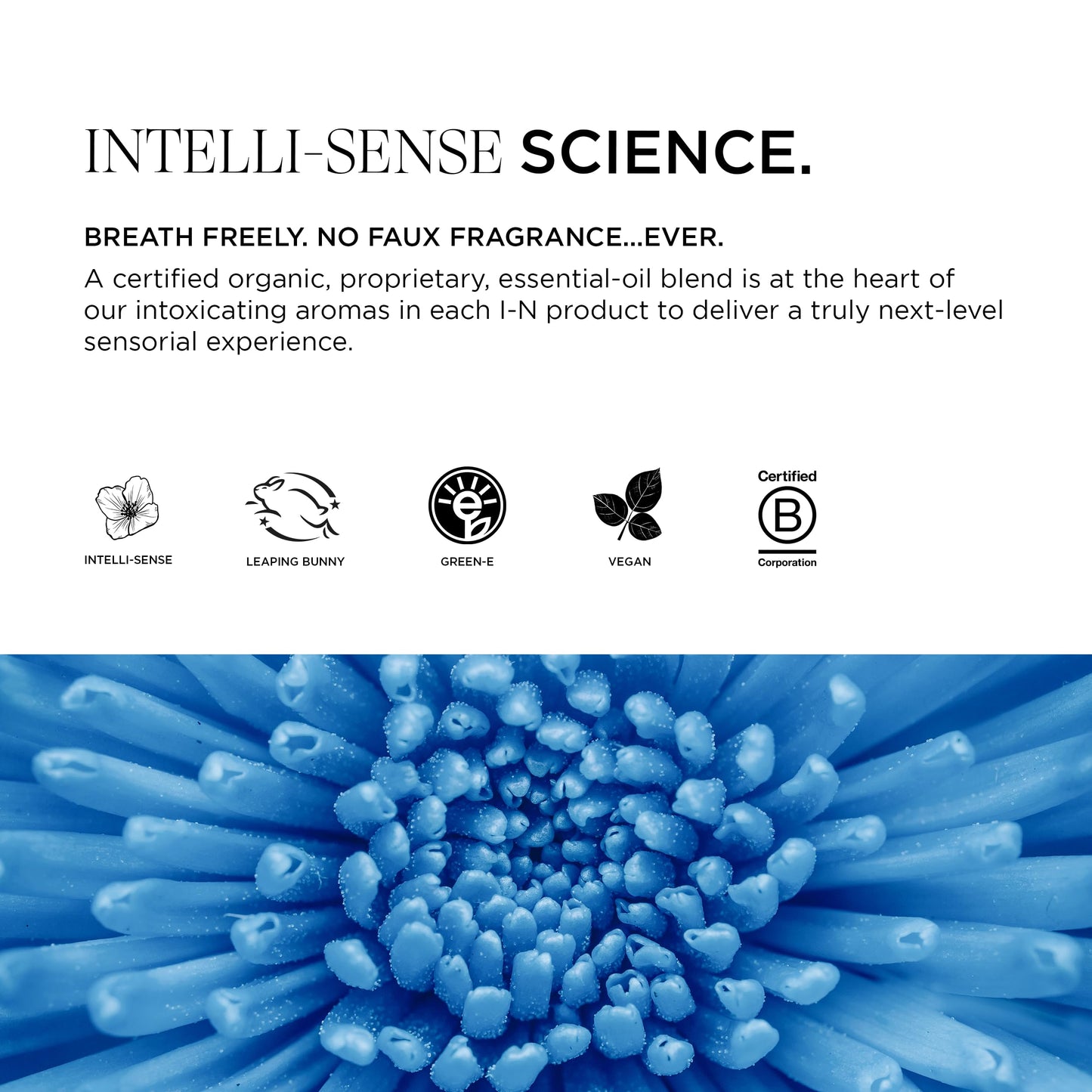 Intelligent Nutrients Amplifi-hair Blow Out Cream, Styling, Heat Protection, and Volume for All Hair Types, Vegan, 4 Oz