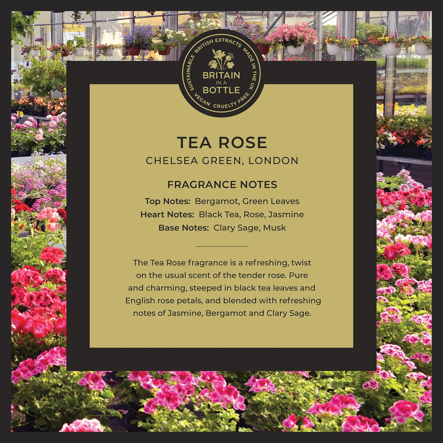 Noble Isle Tea Rose Bath & Shower Gel | Luxury Body Wash for Women with Fine British Fragrance Oils | Vegan Body Wash & Paraben Free Body Wash (8.45 oz)