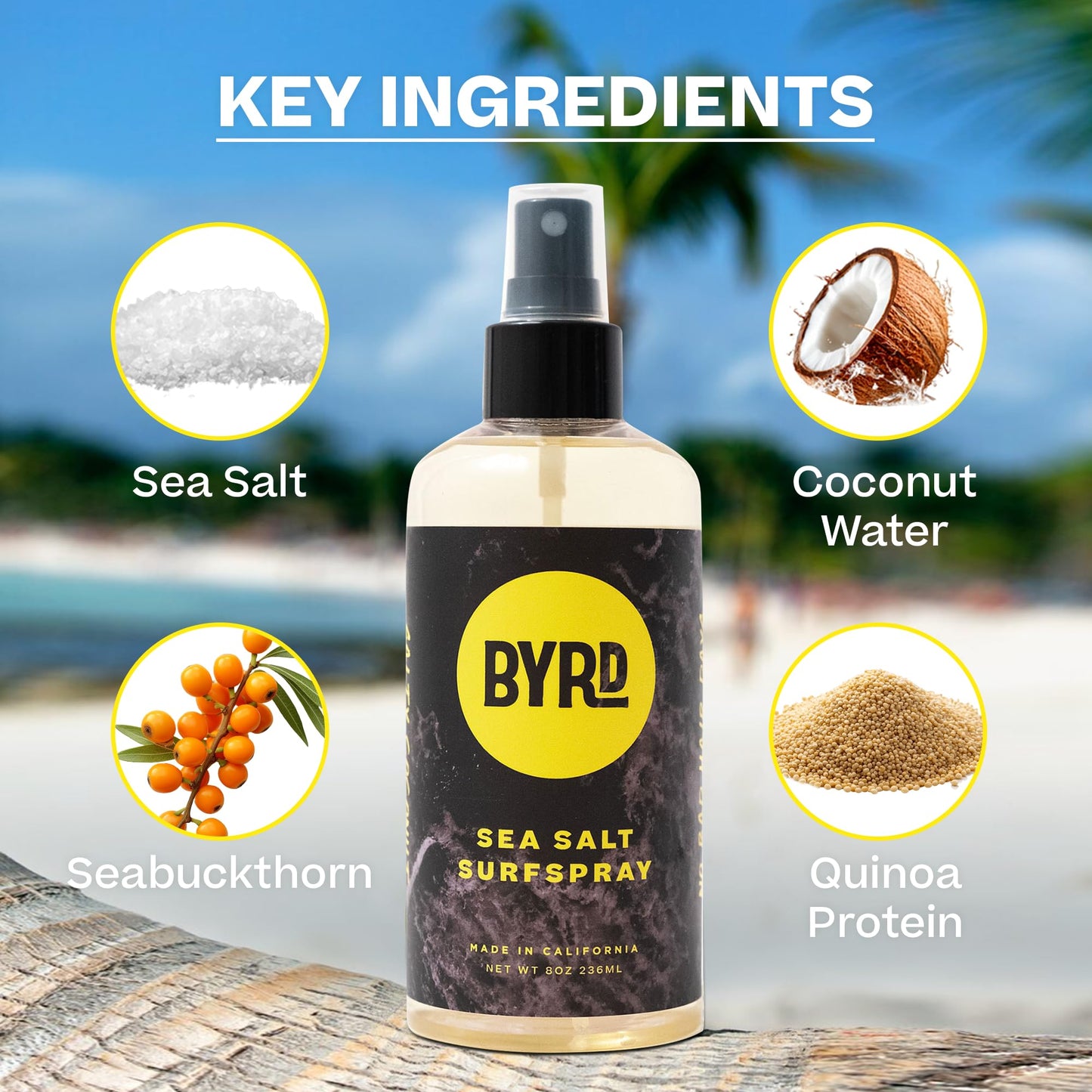 BYRD Sea Salt Surfspray, Texture Spray with Salty Coconut Scent, 8 fl oz