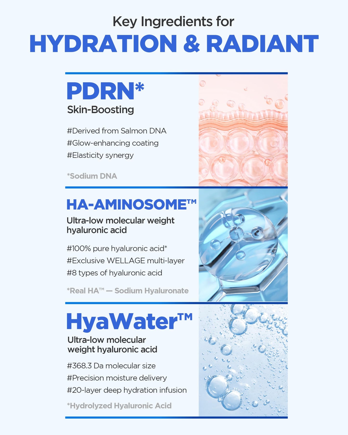 WELLAGE Real Hyaluronic Glow Booster PDRN Hydrogel Face Sheet Mask - Over night Face Masks for Deep Moisture Plumping and Radiant Skin - Korean Skincare, 5 Sheets