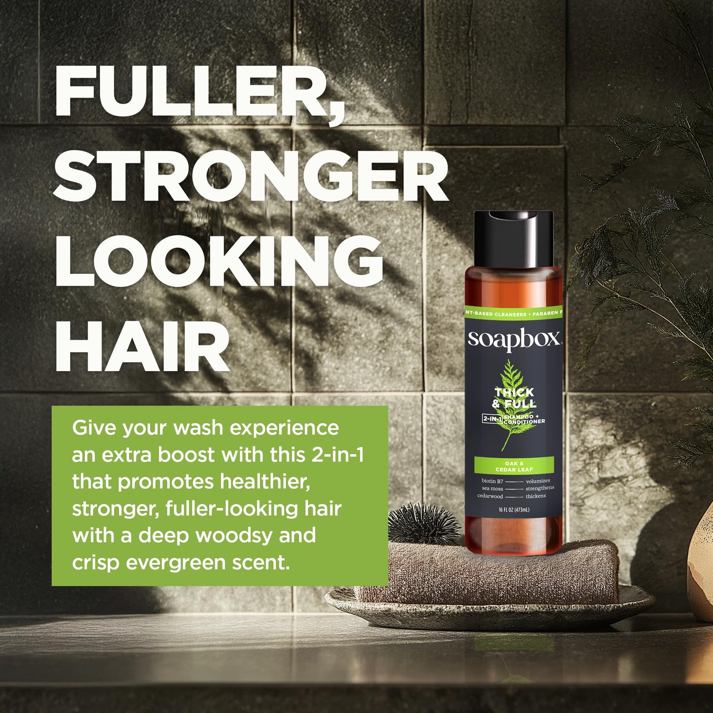 Soapbox Men's 2-in-1 Shampoo and Conditioner Variety Pack, 1 Scalp Care & 1 Thick & Full - Clean Ingredients Free of Harsh Chemicals, Sulfates, Parabens & Silicones - 2 Pack
