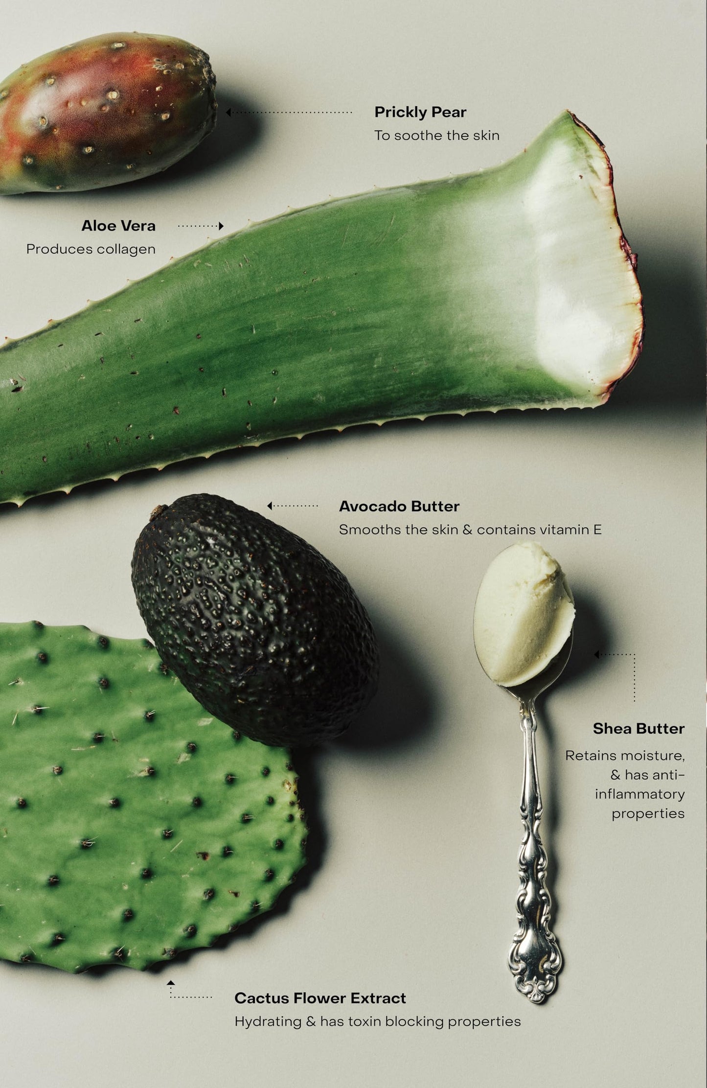 SIDIA - Soaked: The Hand Exfoliant | Cruelty-Free, Plant-Based, Clean Beauty (9.5 oz | 280 mL)