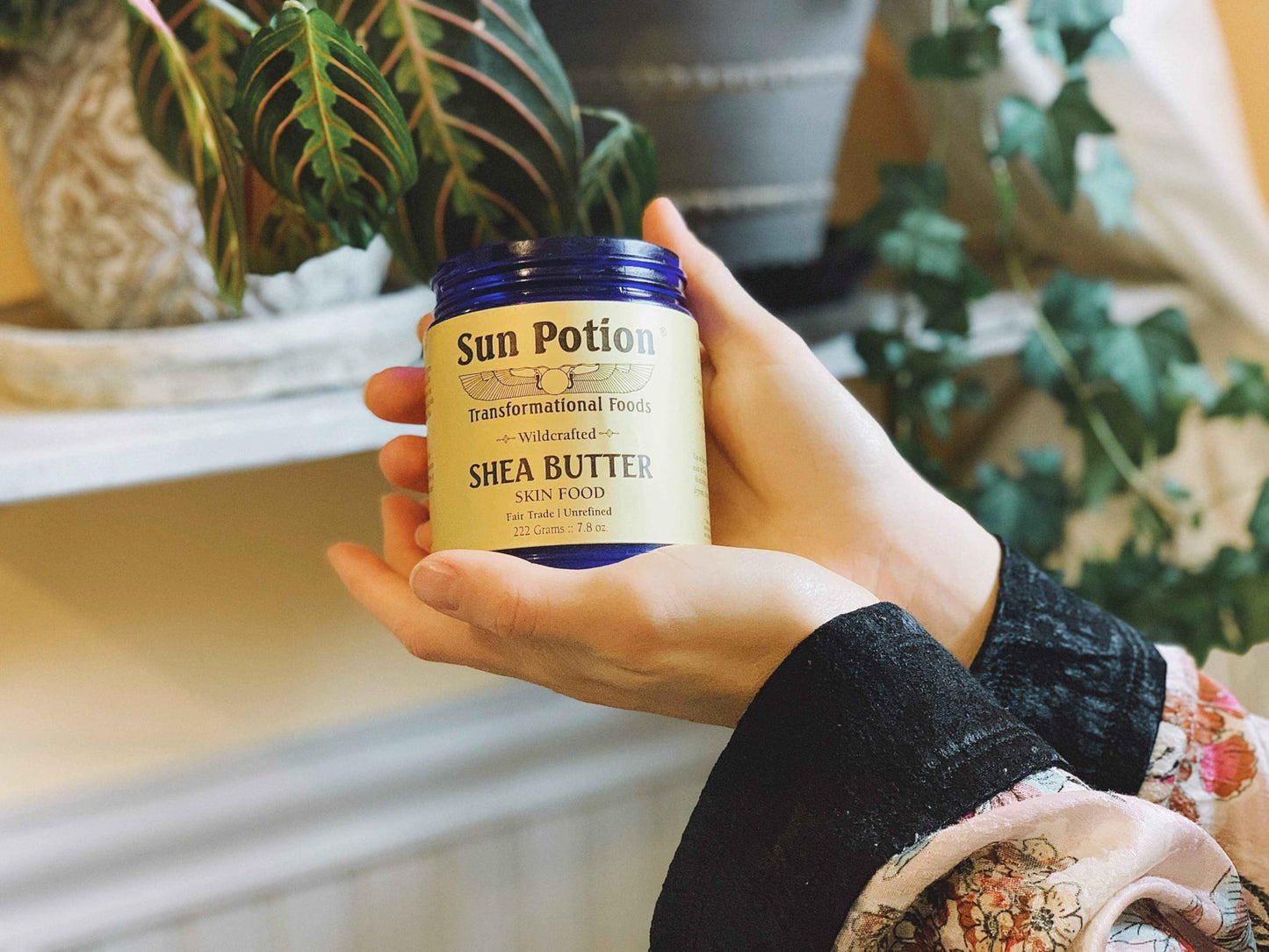 Sun Potion Unrefined Shea Butter Raw | 100% Pure Wildcrafted African Shea Nut Butter | Natural Moisturizer for Skin & Body | Non-GMO | No Added Fragrances | Chemical Free | 222g