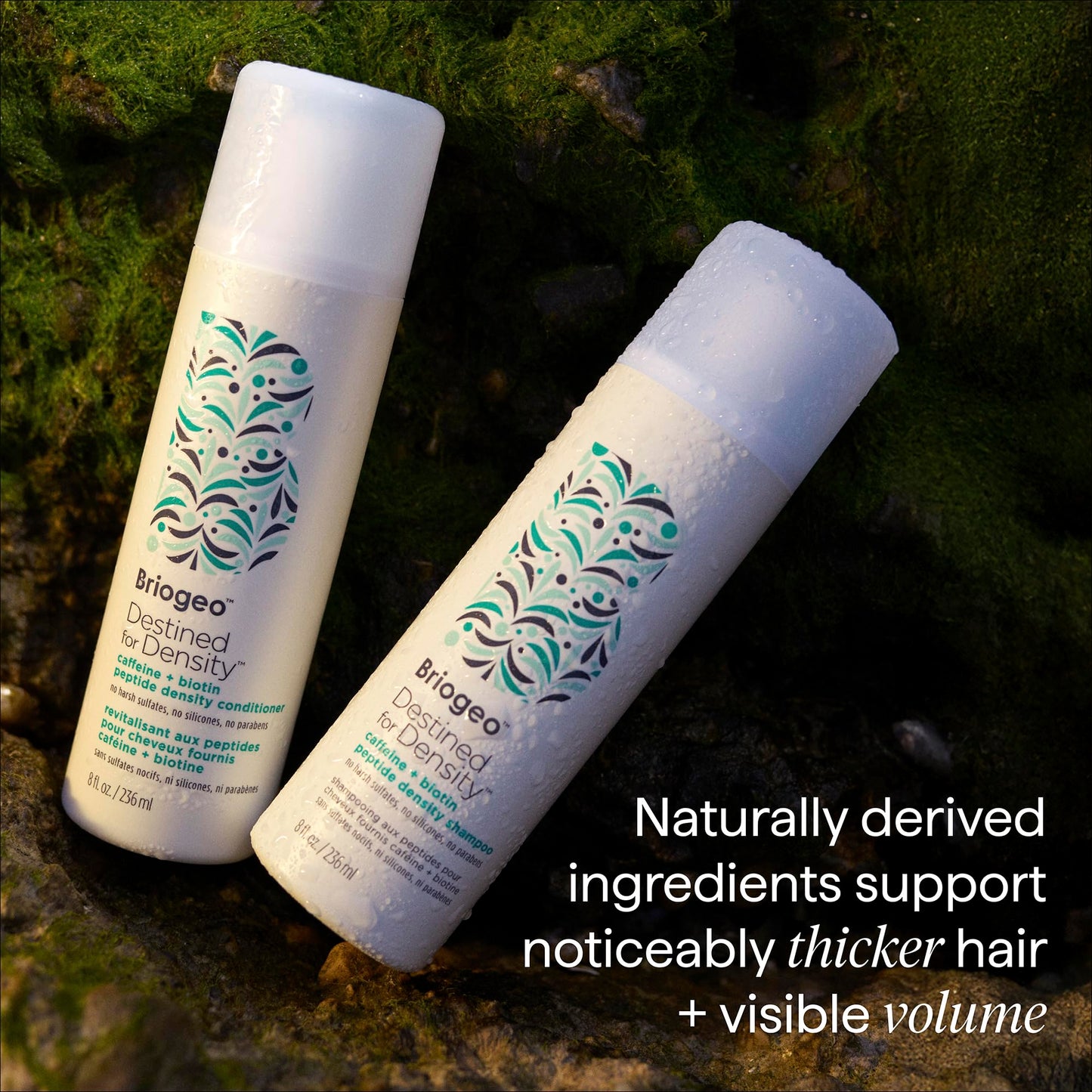 Briogeo Destined for Density Caffeine + Biotin Peptide Density Shampoo | Increases Hair Thickness and Volume for Fine or Thinning Hair | Sulfate-Free | Vegan & Cruelty-Free