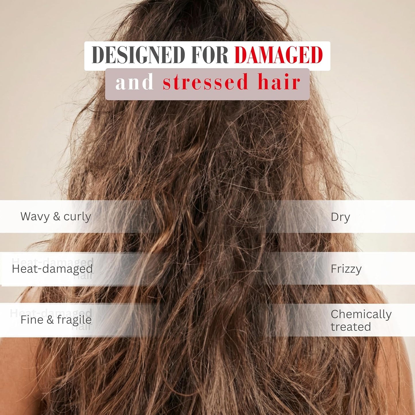 Hydrolyzed Wheat Protein Shampoo - Nourishing Coconut & Argan Oil Formula | Sulfate-Free, Softening Everyday Use