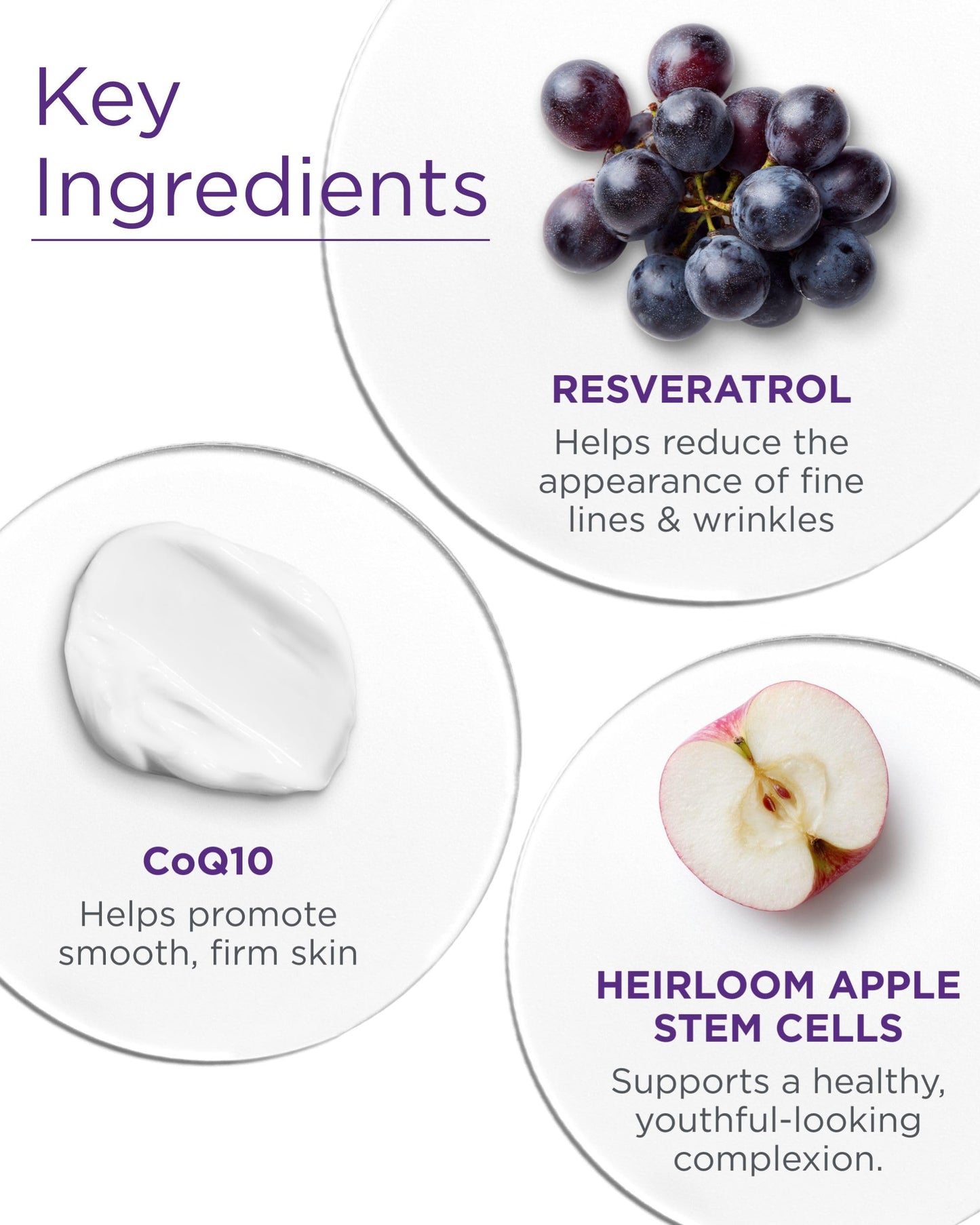 Andalou Naturals Resveratrol Q10 Night Repair Cream, For Dry Skin, Fine Lines & Wrinkles, For Softer, Smoother, Younger Looking Skin, 1.7 Ounce