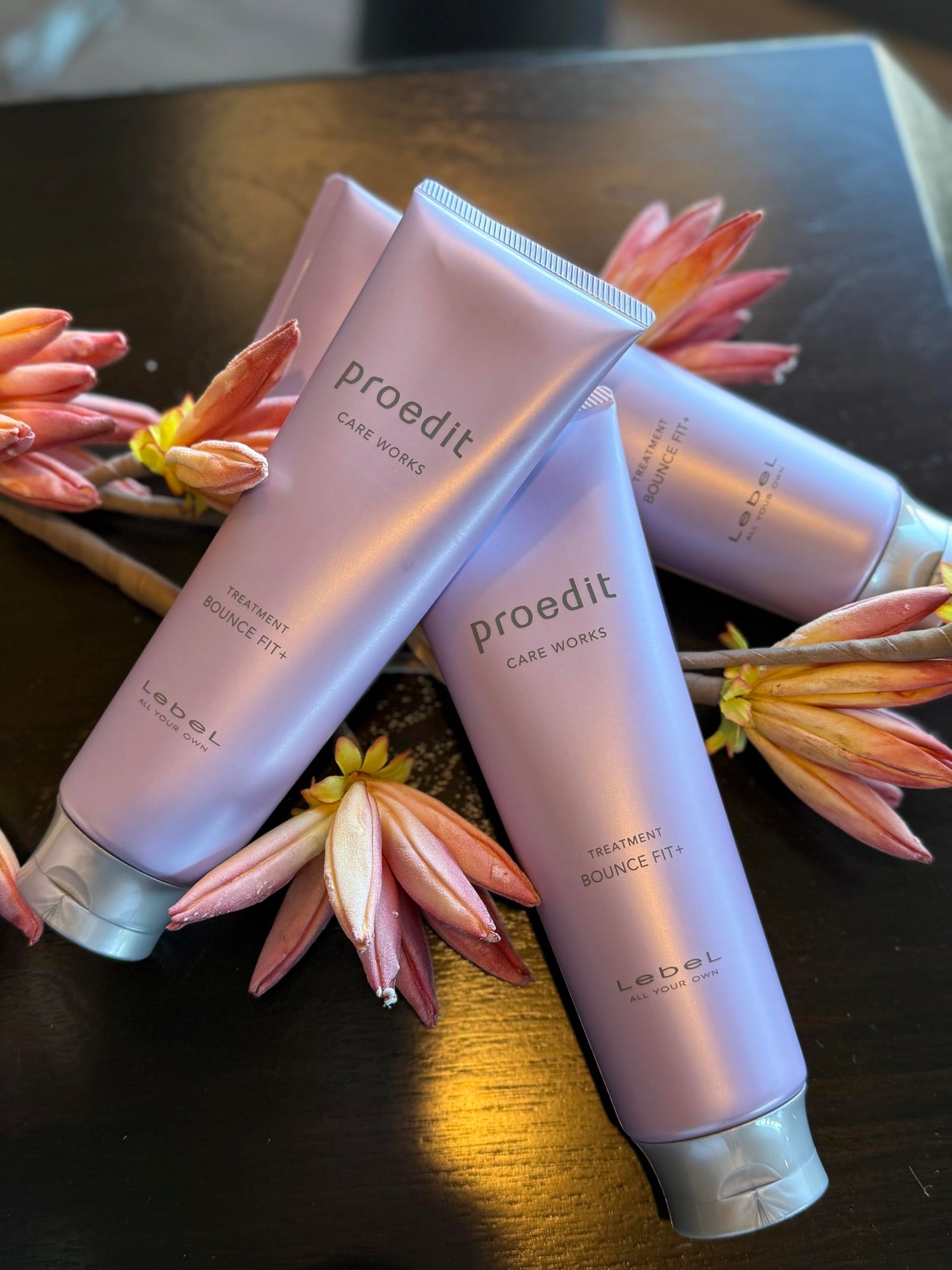 Lebel Proedit Care Works Bounce Fit+ Hair Treatment Mask: Deep Moisture & Elasticity for Dry, Damaged or Processed Hair, 8.4 oz