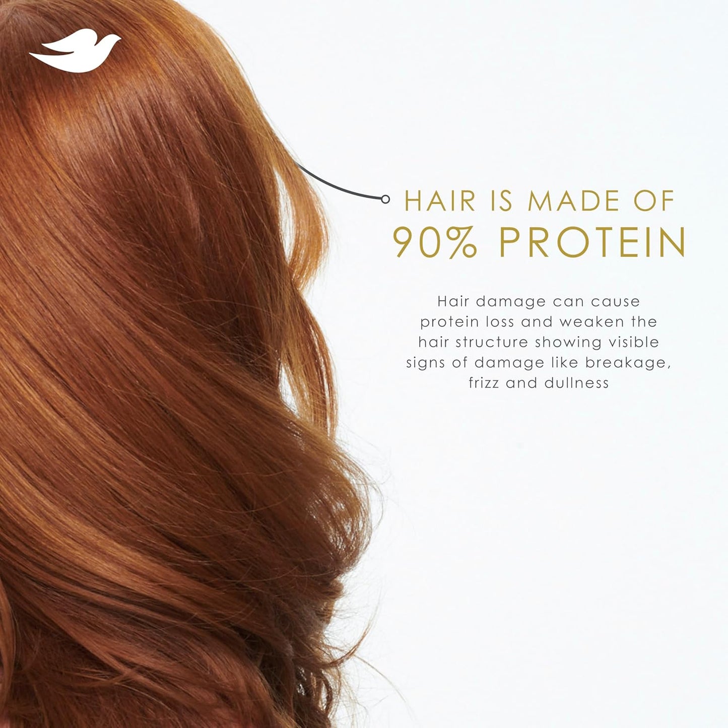 Dove Shampoo for Fine, Thin Hair - Volume & Fullness with Bio-Protein Care Technology | 28 Fl Oz
