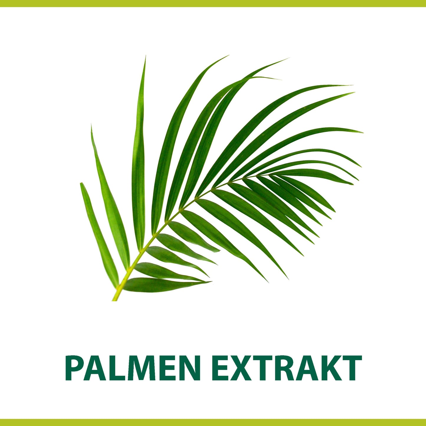 Palmolive For Men Classic Palm Extract Shave Cream 100ml