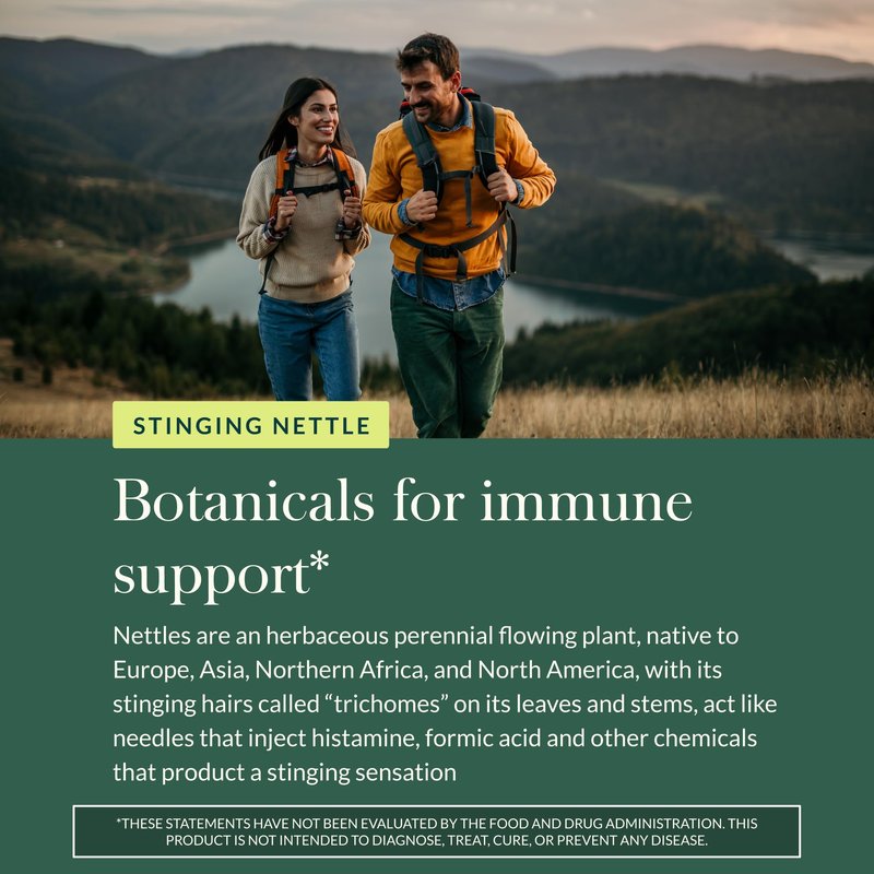 Gaia Herbs Nettle Leaf - Supplement with Stinging Nettle Leaf Extract Traditionally Used for Respiratory & Immune Support* - Vegan, Gluten-Free, Soy-Free - 60 Liquid Phyto-Caps (30 Servings)