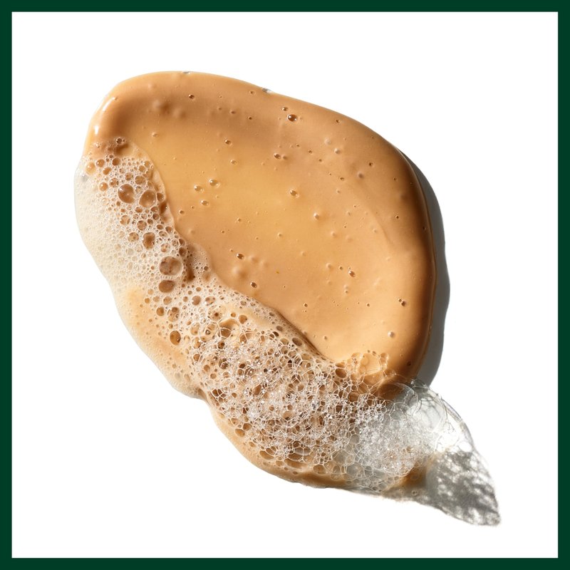 Aveda Sap Moss Weightless Hydration Shampoo & Conditioner Duo | Hydrates, Detangles, Fights Frizz | Silicone Free for Normal to Dry Hair | 94%+ Naturally Derived*