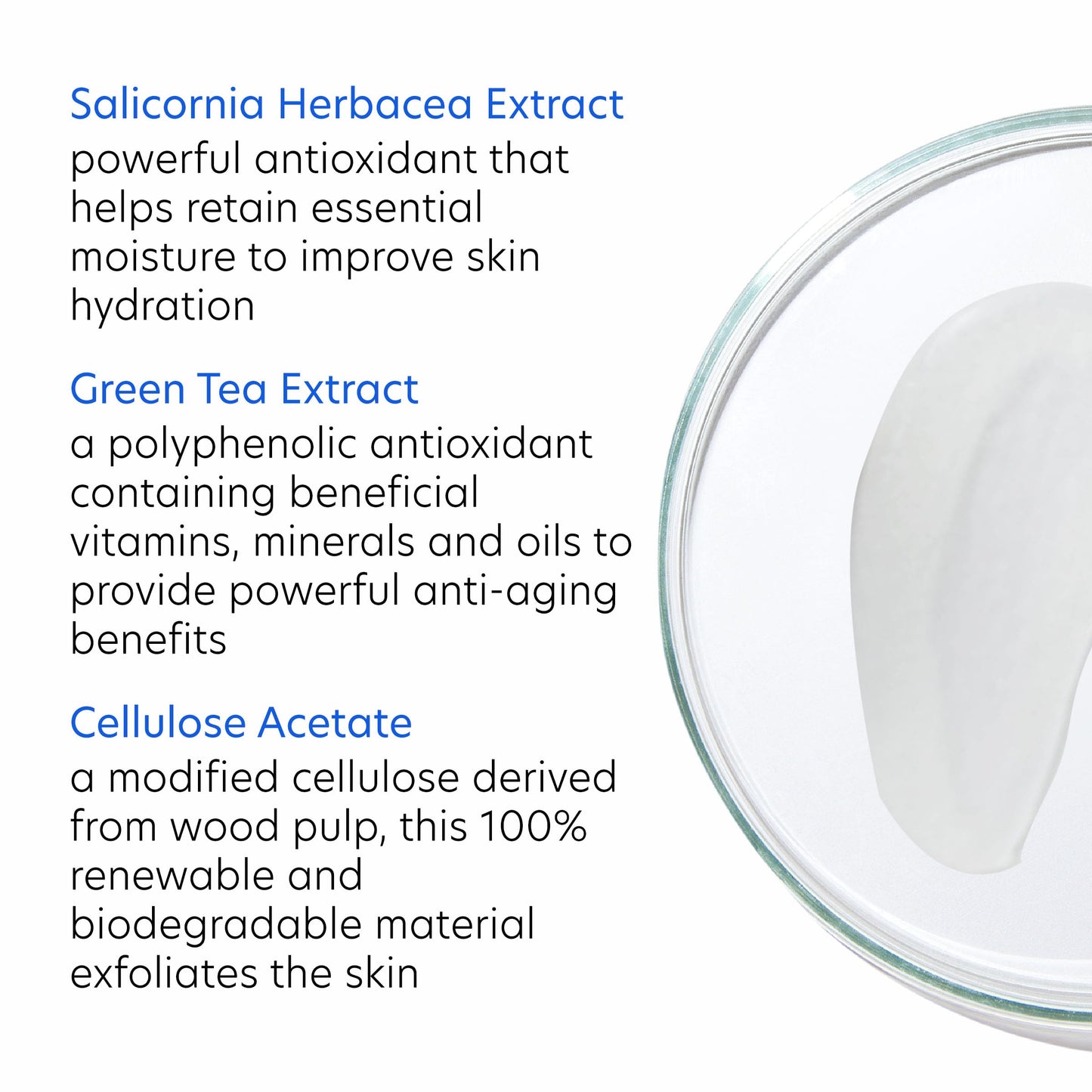 PCA SKIN Daily Face Exfoliant Cleanser, Moisturizing Face Wash, Gently Cleanses Dirt, Debris, and Other Impurities From Skin, Facial Cleanser Made with Renewable Exfoliants, 7.0 oz Bottle