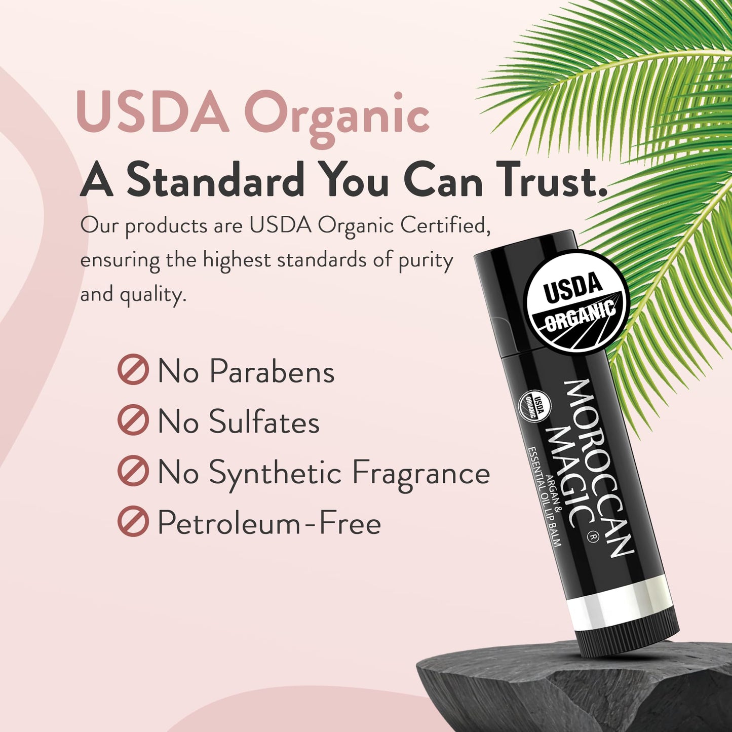 Moroccan Magic Organic Lip Balm & SPF15: 14 Piece Variety Pack Gift Set | Organic Argan and Essential Oils | Smooth | Natural | Non-Toxic | Cruelty Free | chapstick bulk lip balm | 14 Pack