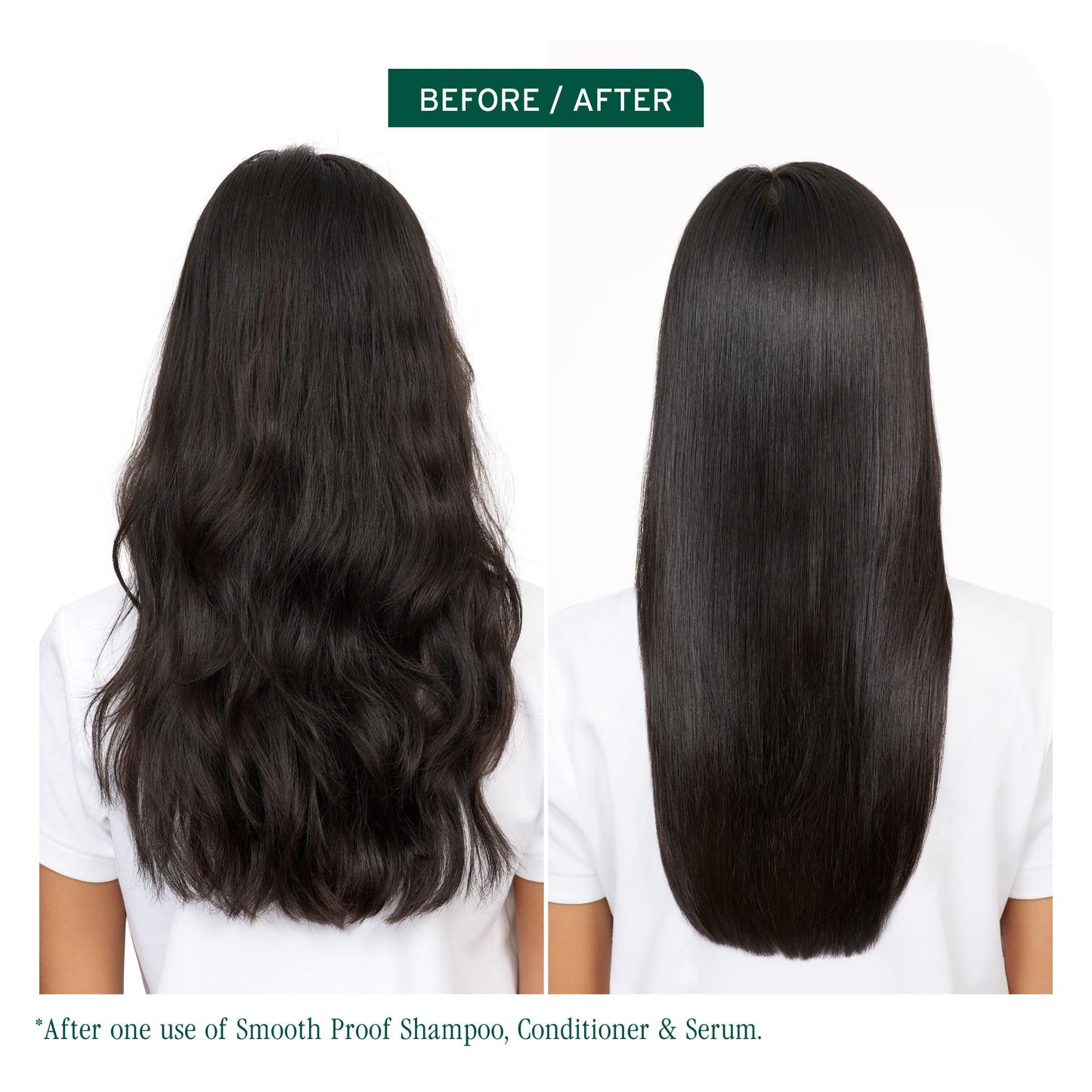 Biolage Smooth Proof Shampoo - Gently Cleanses and Adds Shine, Nourishes, Moisturizes & Tames Frizz, For All Frizzy Hair Types, With Camellia Oil & Glycerin, Vegan & Paraben-Free, 13.5 Fl Oz