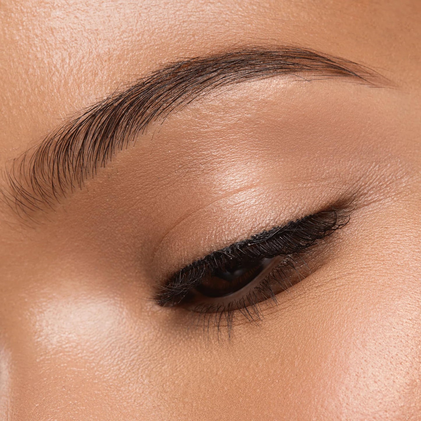 Brow Bar To Go by Gerard Cosmetics (Medium to Ebony), Eyebrow Trio Kit with Brow Powder, Brow Wax, and Angled Brush, Eyebrow Powder Dark Brown, Cruelty Free & Made in the USA