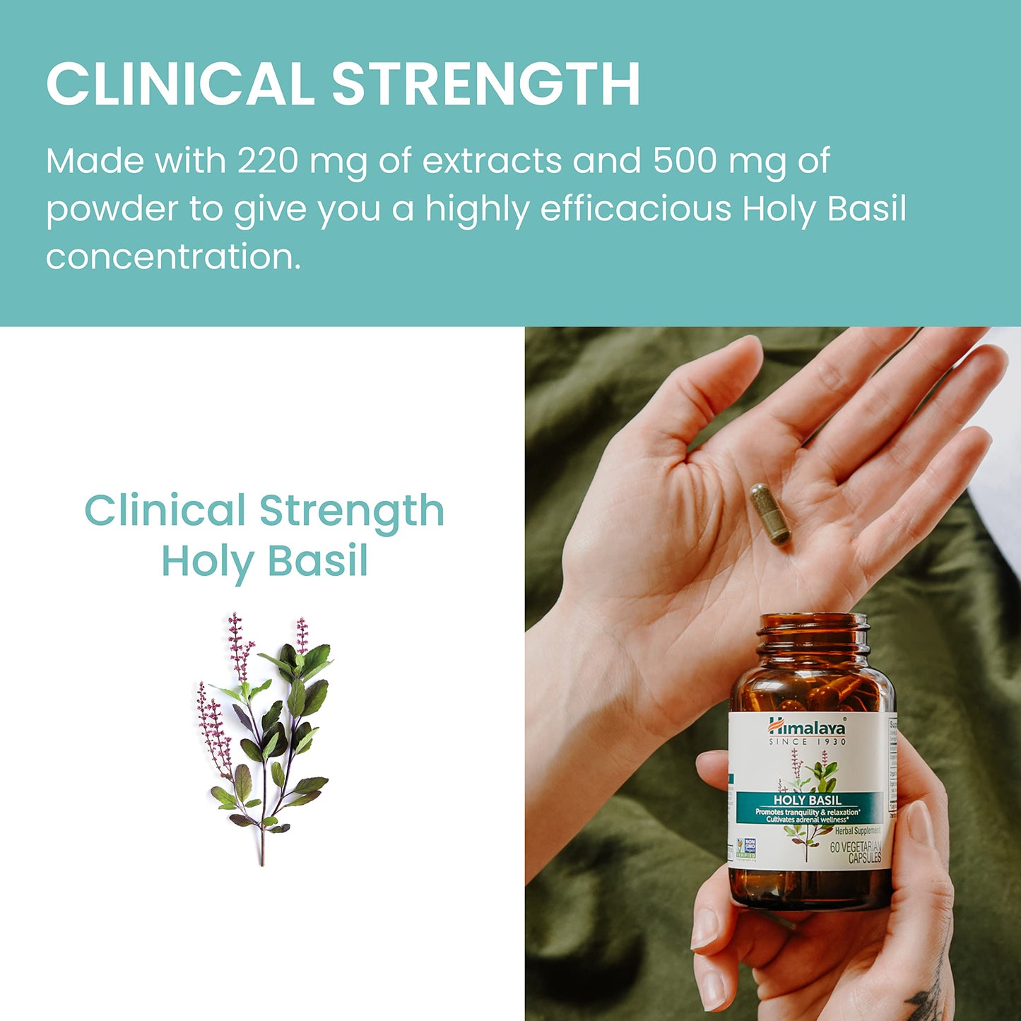 Himalaya Holy Basil Capsules-Herbal Adrenal Support for Stress Relief, Reduce Cortisol, Relaxation, Energy Support and Occasional Sleeplessness - Vegan, Non-GMO, Gluten Free, 720 mg, 120 Capsules