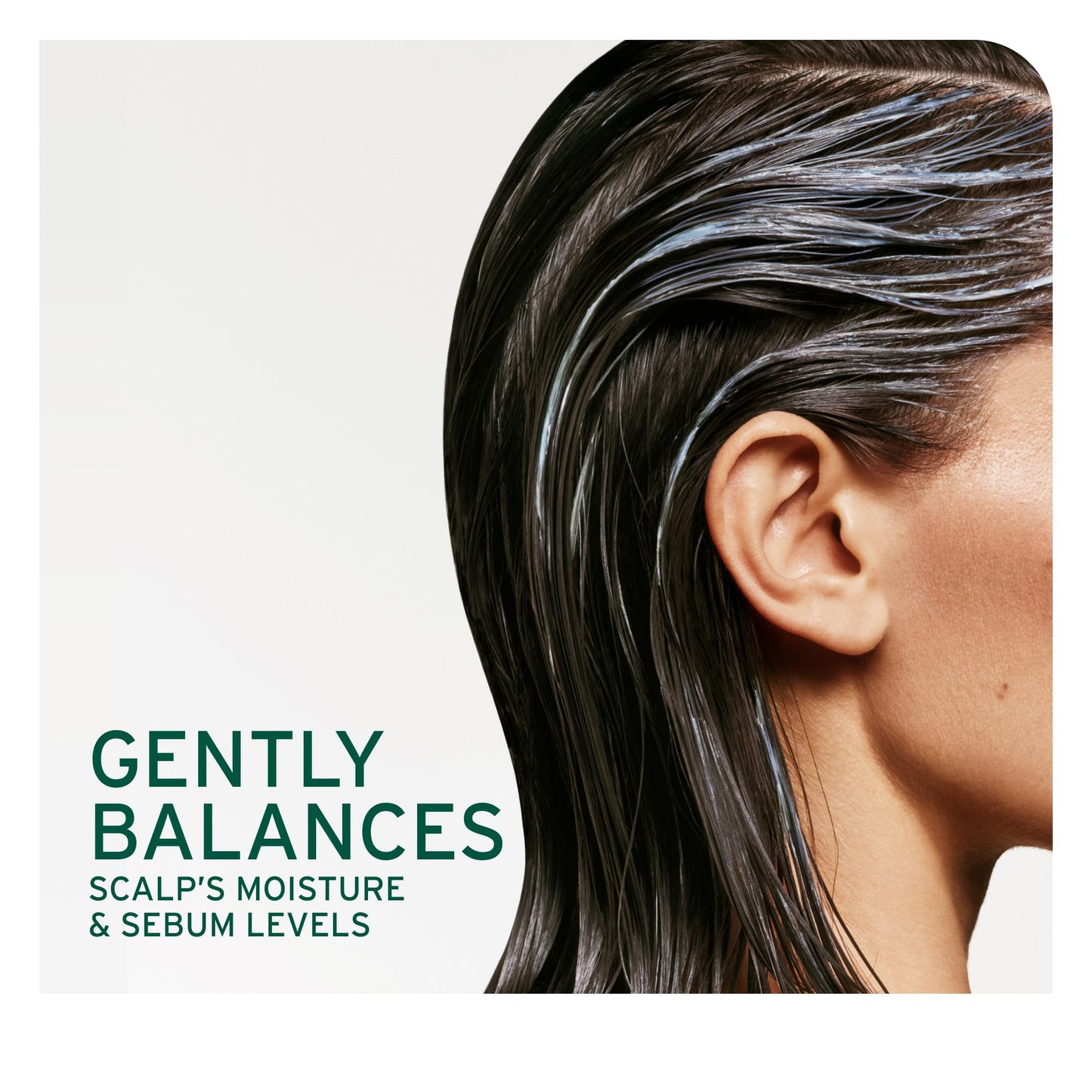 Biolage Cool Mint Shampoo - Balancing Shampoo for Oily Scalp, Gently Cleanses, Refreshes & Helps Balance, Mint & Glycerin, Vegan & Paraben-Free, 13.5 Fl Oz