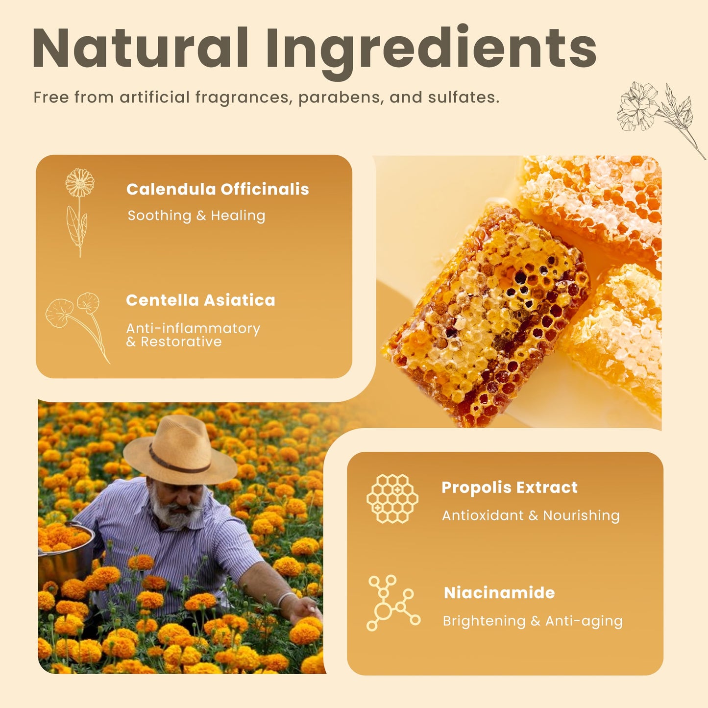 SNO Calendula Herbal Phyto Toner, 6.76 fl oz, Calendula Officinalis Flower Extract Korean Skin Care