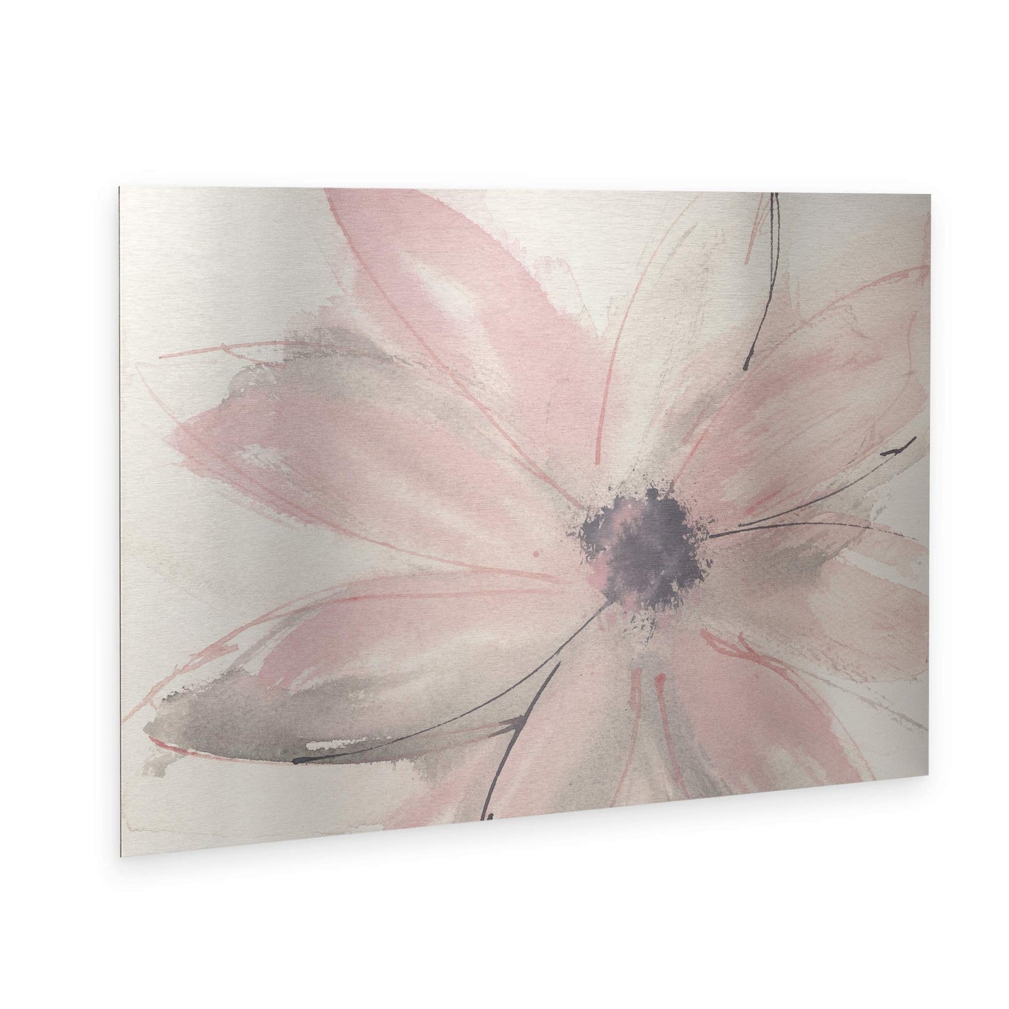 Trademark Fine Art ' Blush Clematis I ' Floating Brushed Aluminum Art by Chris Paschke 16x22