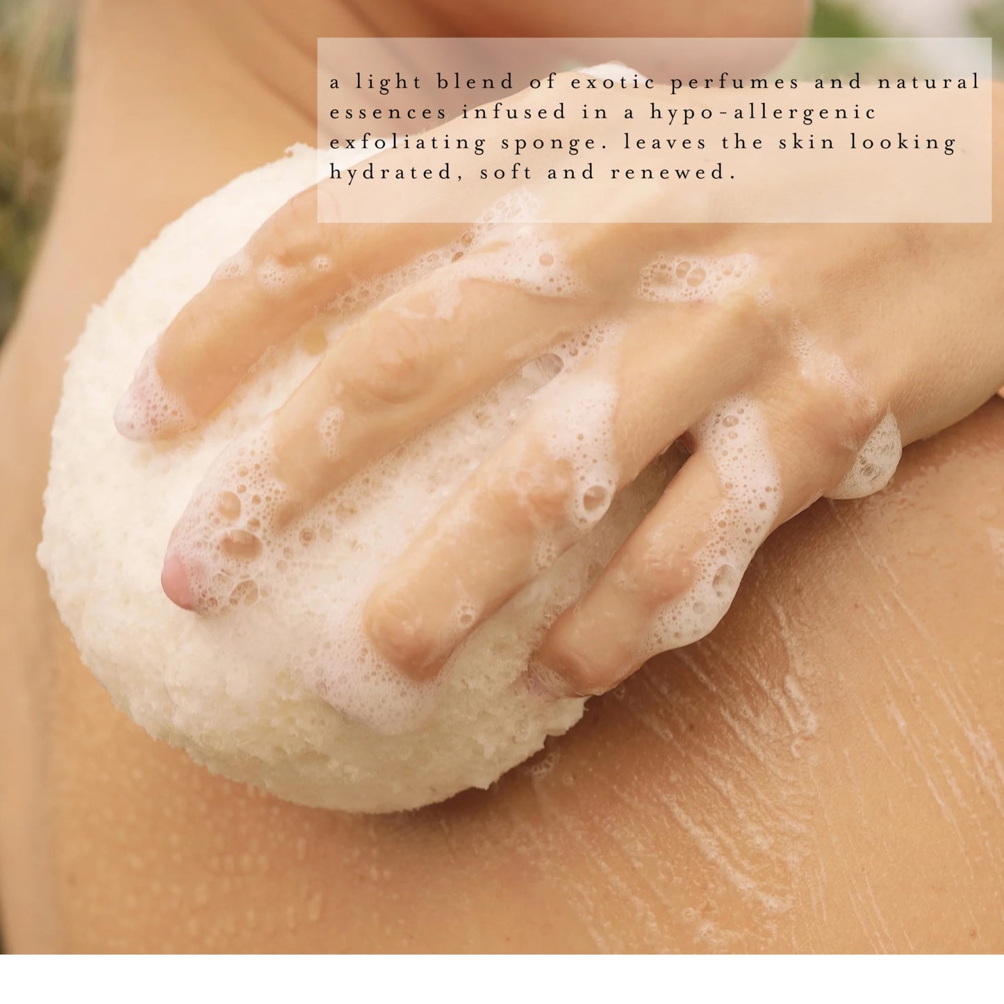 kai Body Buffer – 2 Count exfoliating Bath sponges with Built-in Cleanser, Gardenia Scent, Vegan & Cruelty-Free | Gently exfoliates & cleanses | Made in the USA