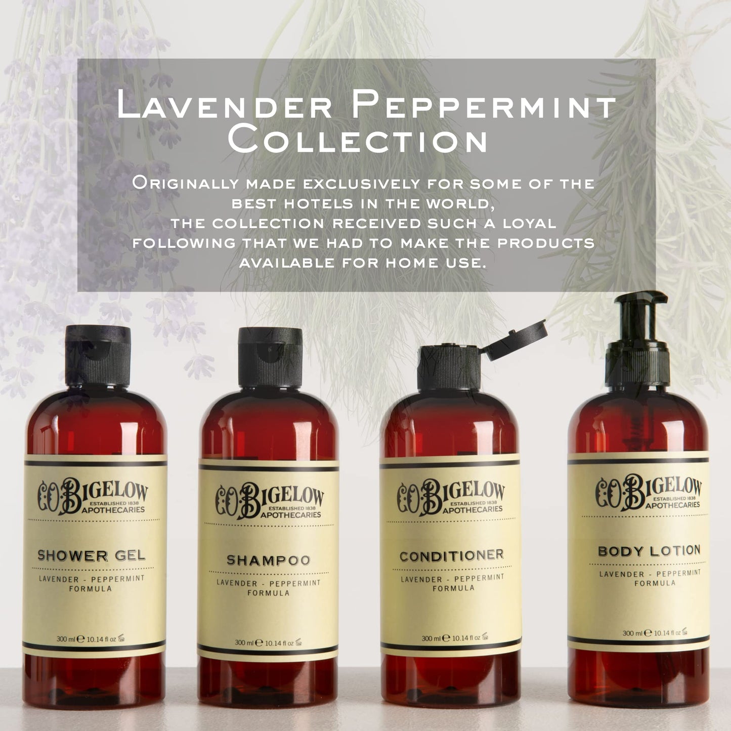 C.O. Bigelow Lavender Peppermint Shampoo, Sulfate Free Shampoo, Hair Wash with Lavender & Peppermint Essential Oils, 10.4 Fl Oz