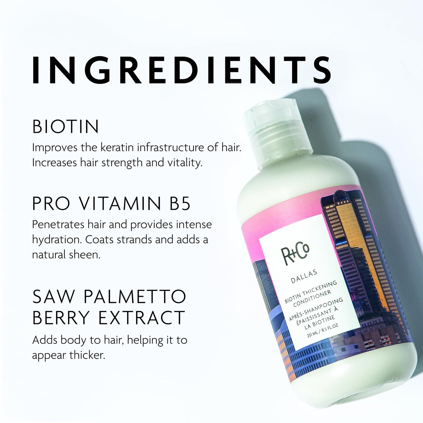 R+Co Dallas Biotin Thickening Conditioner | Weightless Hydration, Strengthens + Enhances Shine | Vegan + Cruelty-Free | 8.5 Oz