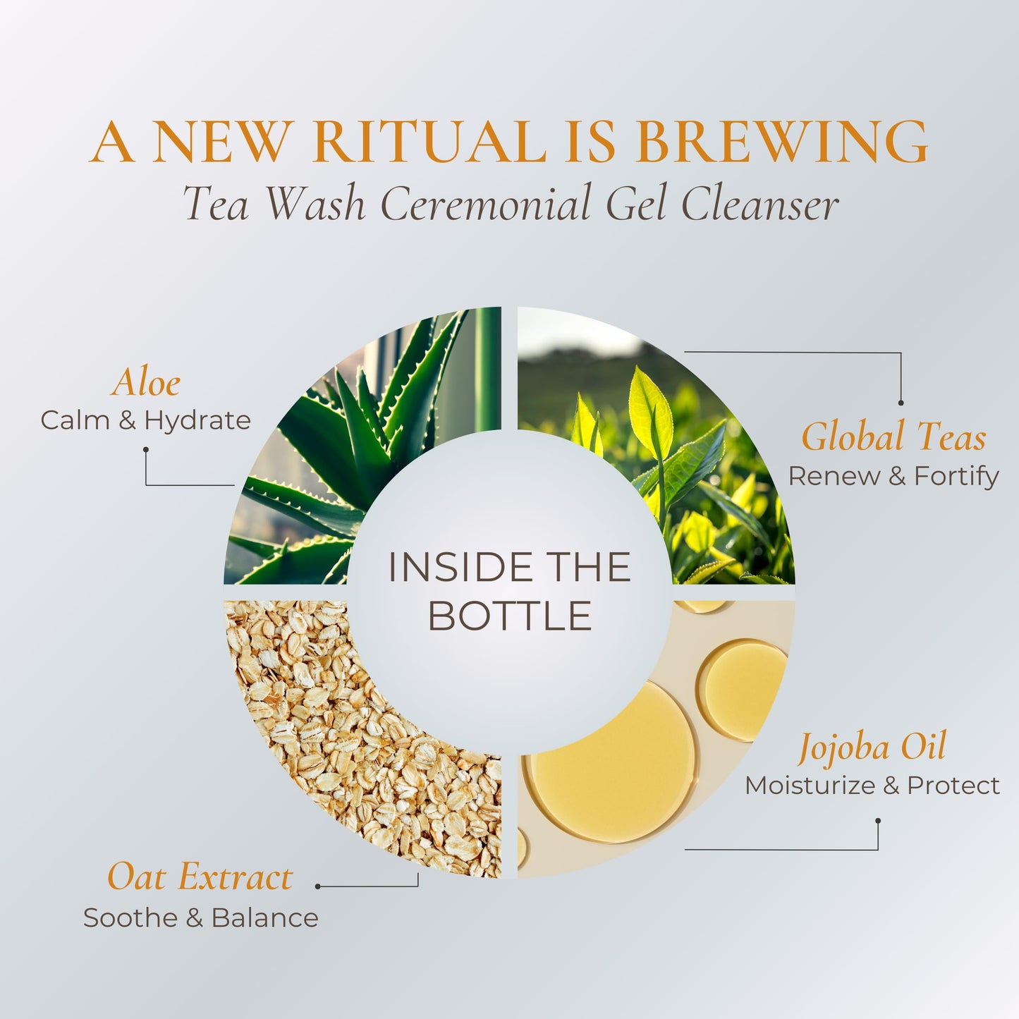 ILONA Tea Wash | Hydrating & Detoxifying Foaming Face Wash for All Skin | With Global Teas, Olive, & Oat Amino Acids | Soothing Tea Aroma | 5.0 oz.