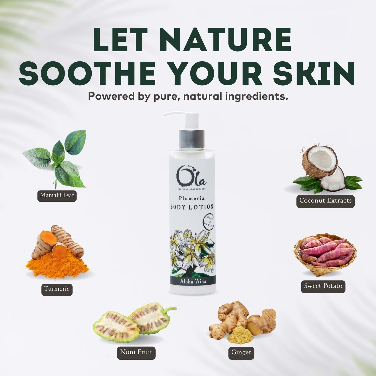 Tropical Apothecary Ola Plumeria Body Lotion with Pure Tropical Oils and Plant Extracts - 8.45 Fl Oz